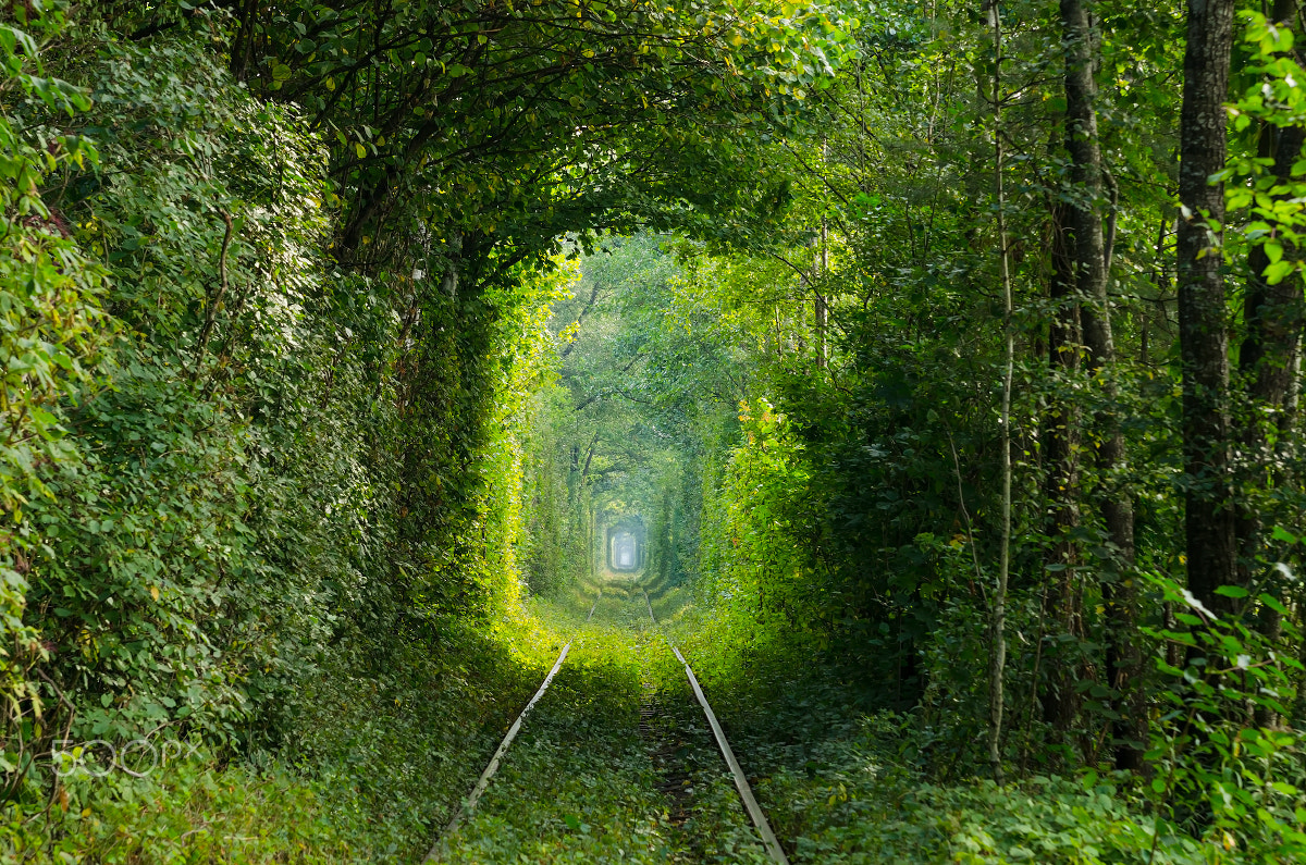 Nikon D7000 + Tamron AF 28-75mm F2.8 XR Di LD Aspherical (IF) sample photo. Tunnel of love photography