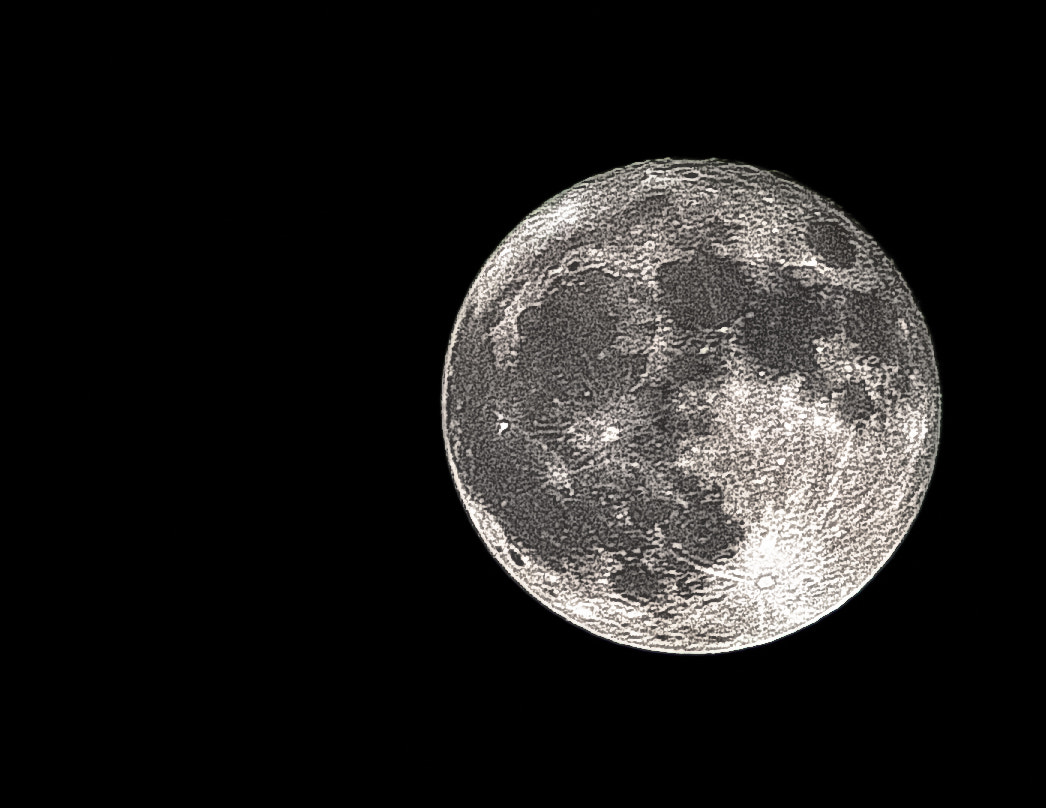 Canon EF 75-300mm f/4-5.6 USM sample photo. Let's dance under the moonlight photography