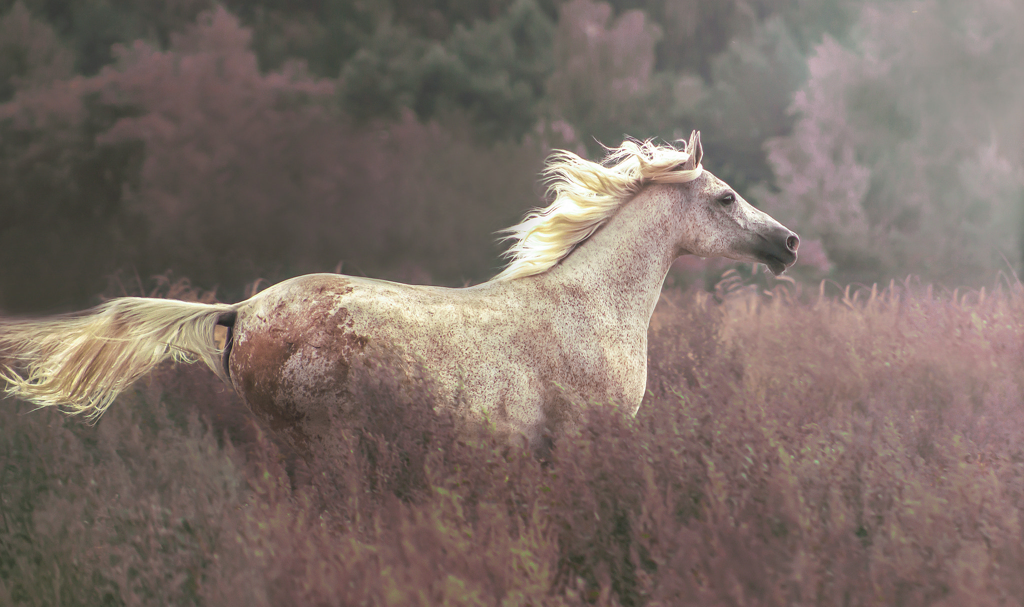 Canon EF 75-300mm f/4-5.6 USM sample photo. Dejanira photography