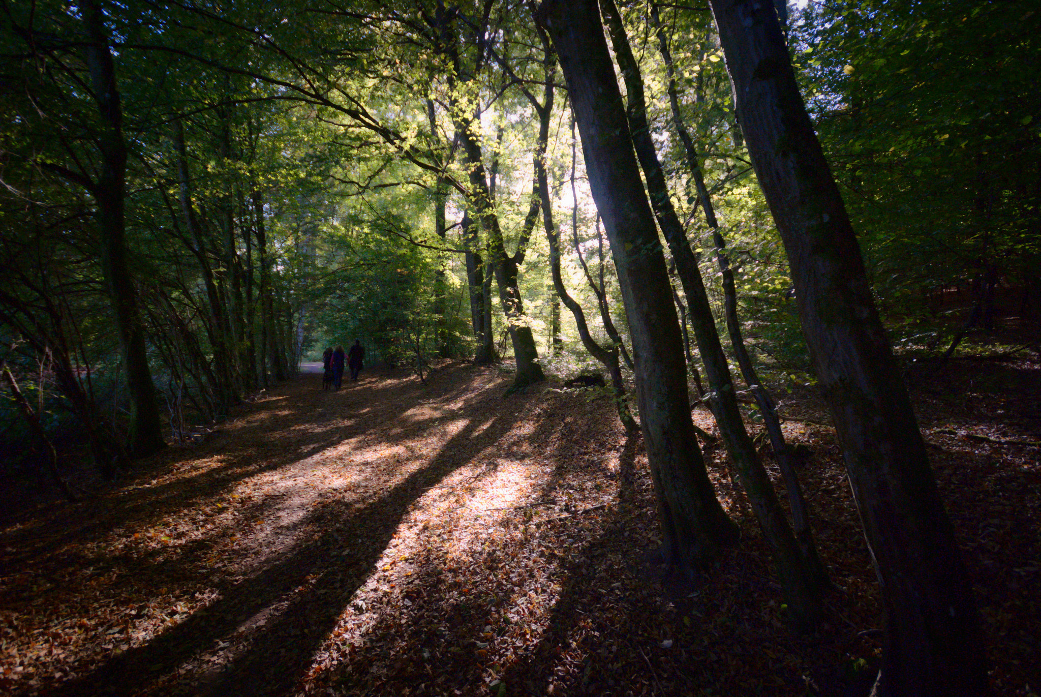 Sigma 10-20mm F4-5.6 EX DC HSM sample photo. The magic of light ii photography