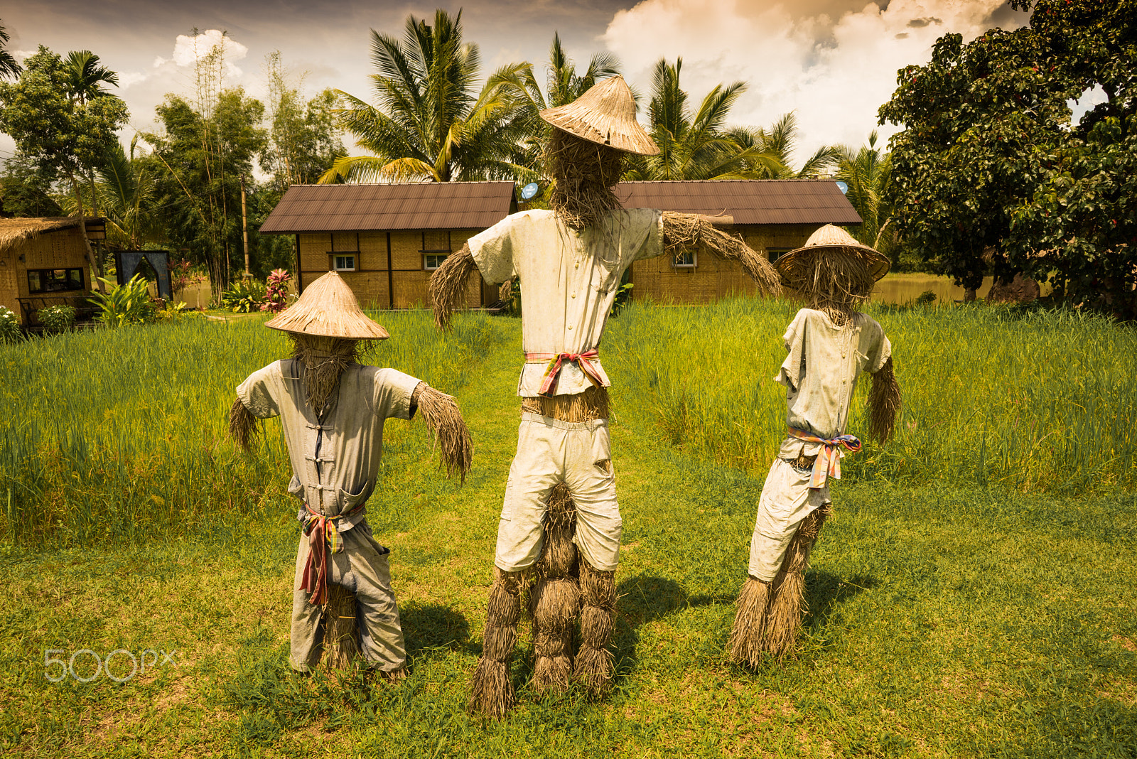 Sony a7R sample photo. Scarecrow photography