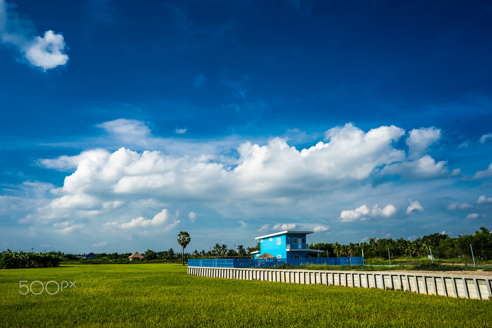 Sony a7R + ZEISS Batis 25mm F2 sample photo. White cloud photography