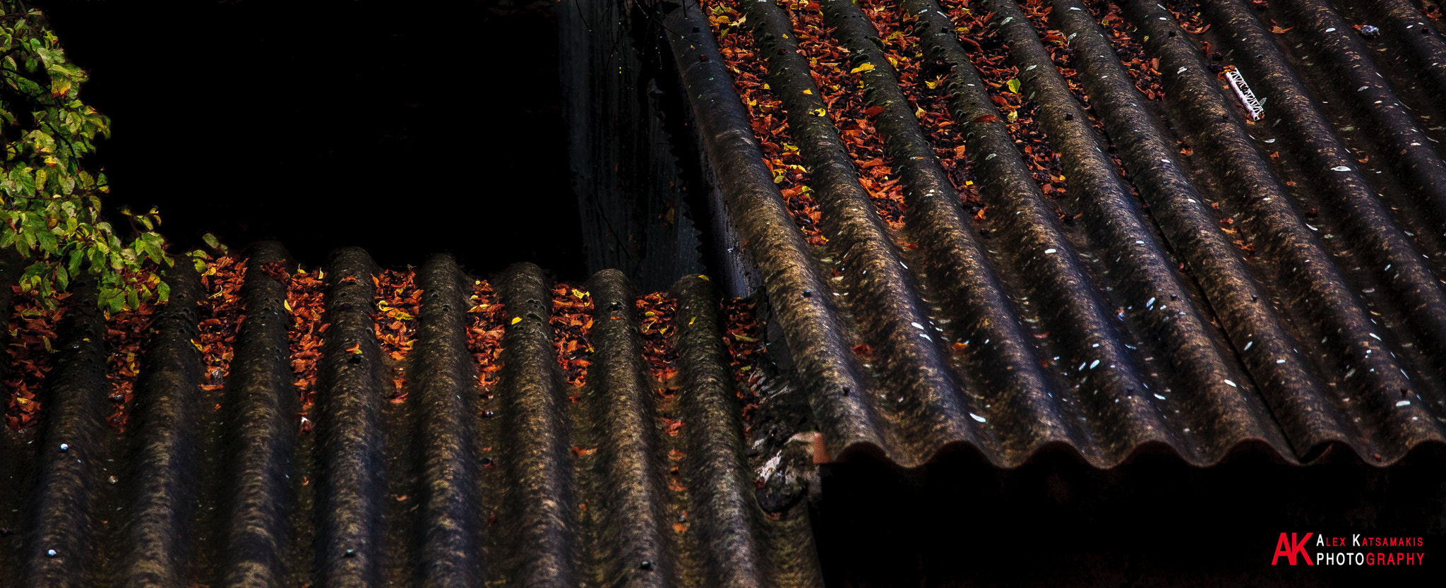 Canon EOS 5D + Canon EF 70-200mm F4L IS USM sample photo. Autumn leaves over rooftops photography