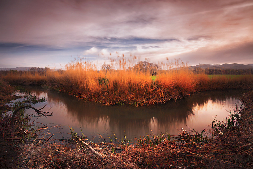 Canon EOS 6D + Canon EF 16-35mm F4L IS USM sample photo. Winter photography