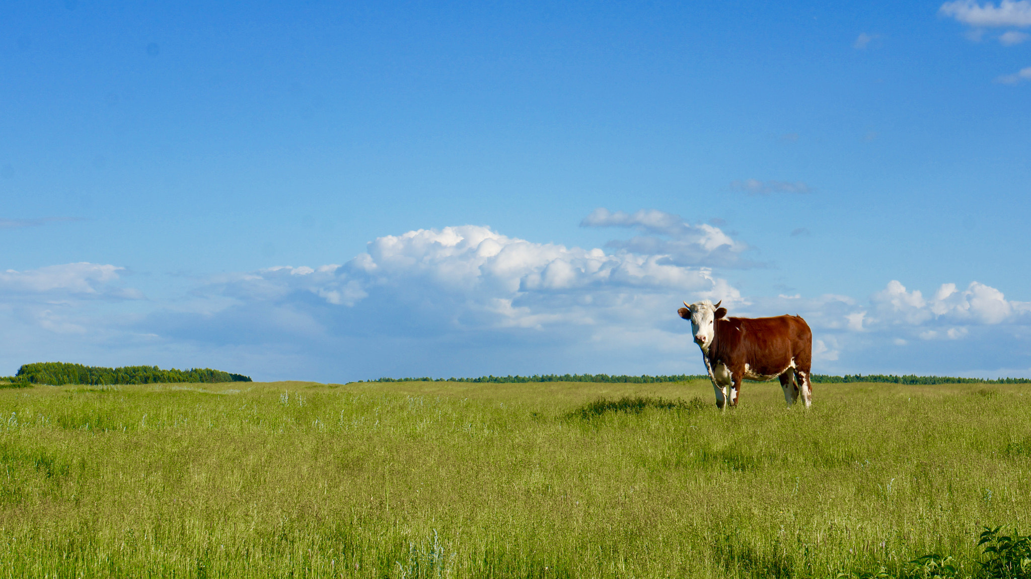 Sony E 18-55mm F3.5-5.6 OSS sample photo
