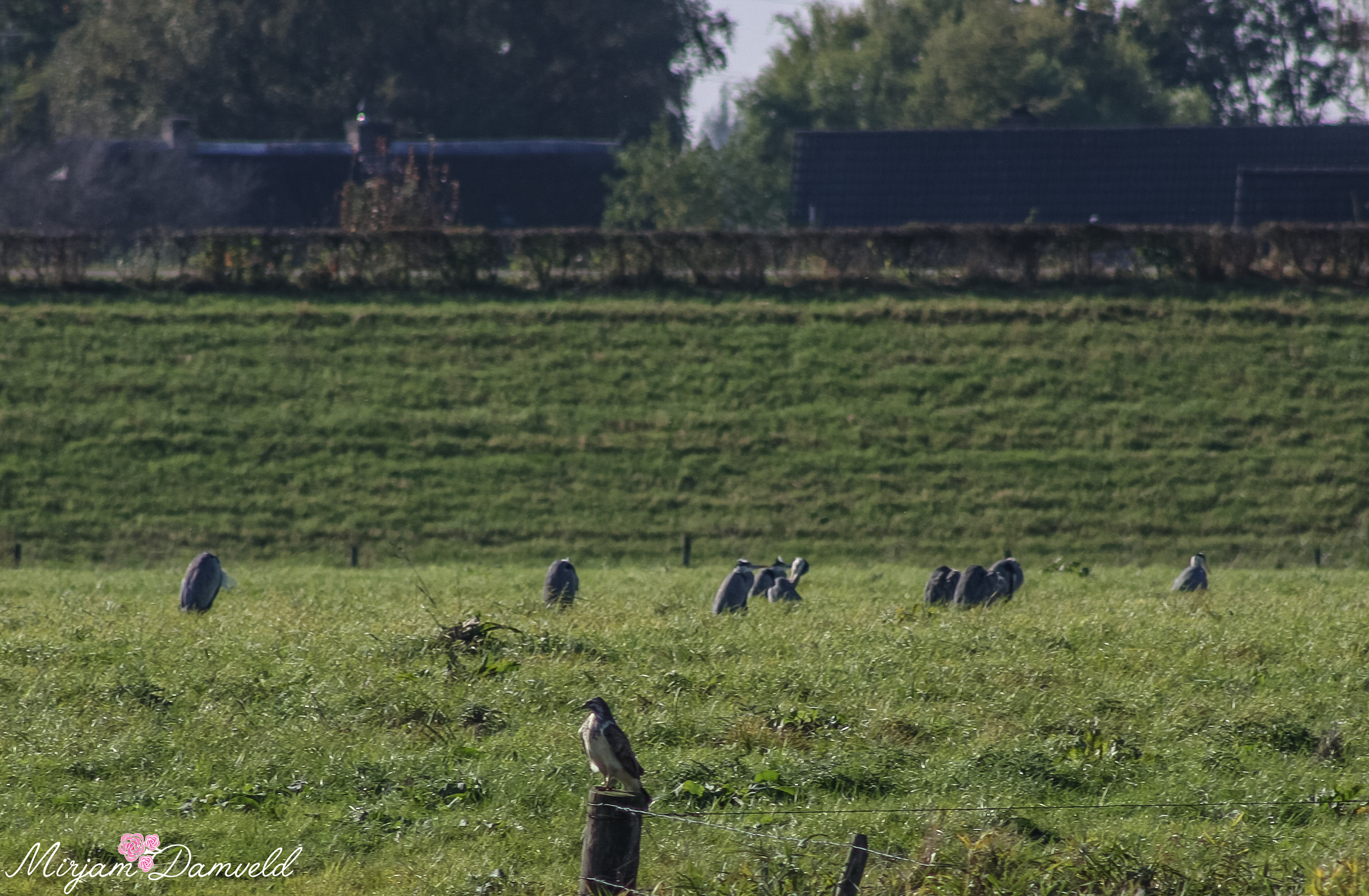 Canon EF 75-300mm f/4-5.6 USM sample photo. Img photography