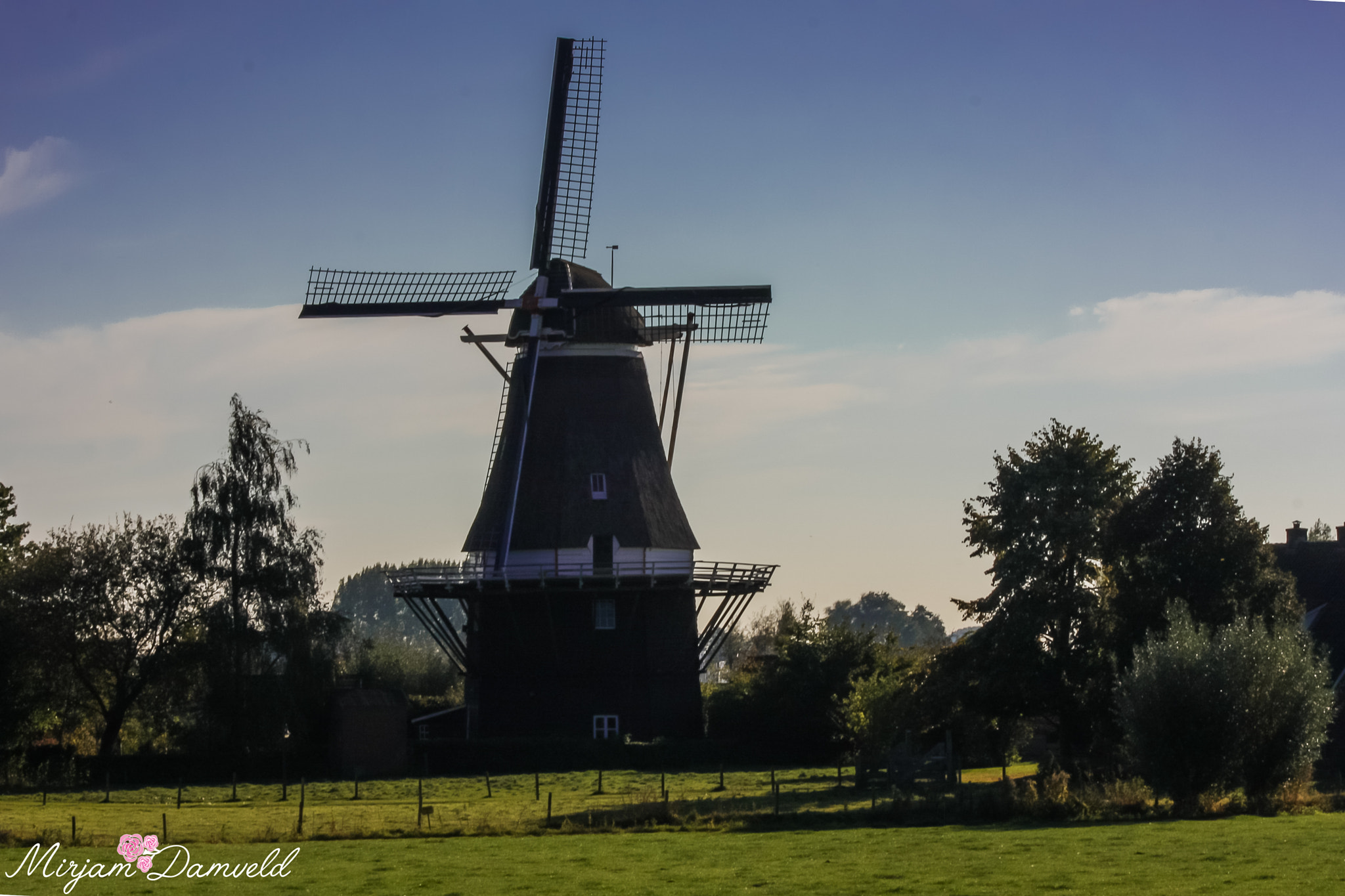 Canon EF 75-300mm f/4-5.6 USM sample photo. Img photography