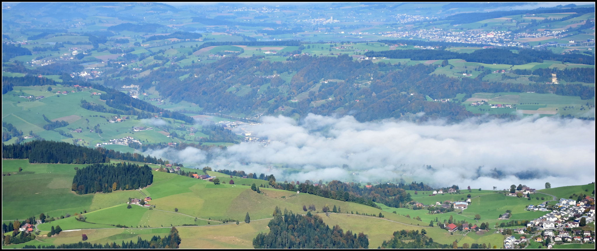 Sigma 50-500mm F4.5-6.3 DG OS HSM sample photo. Leichter bodennebel photography