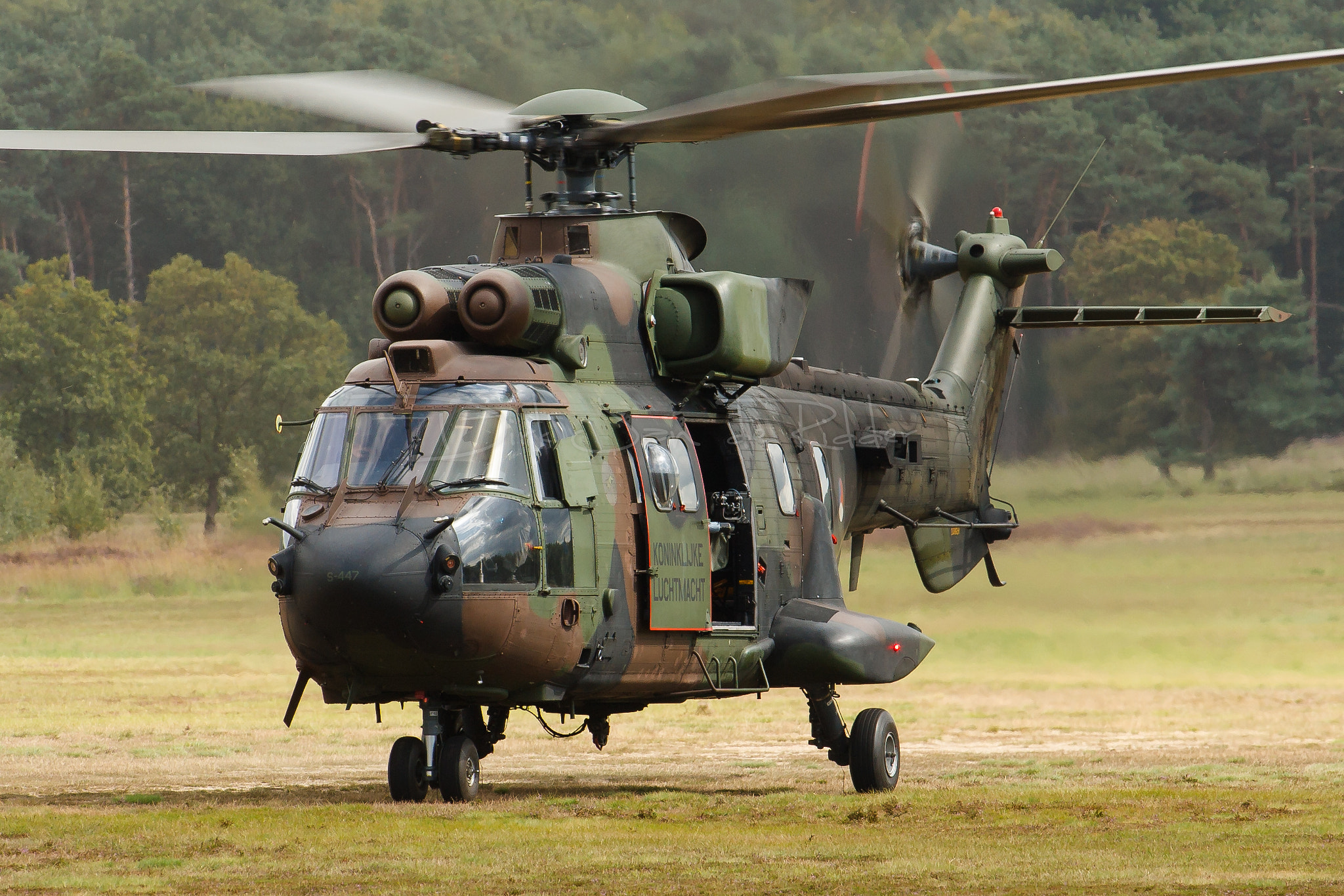 Canon EOS 40D + Canon EF 70-200mm F2.8L USM sample photo. Royal netherlands air force as532u2 cougar s-447 photography