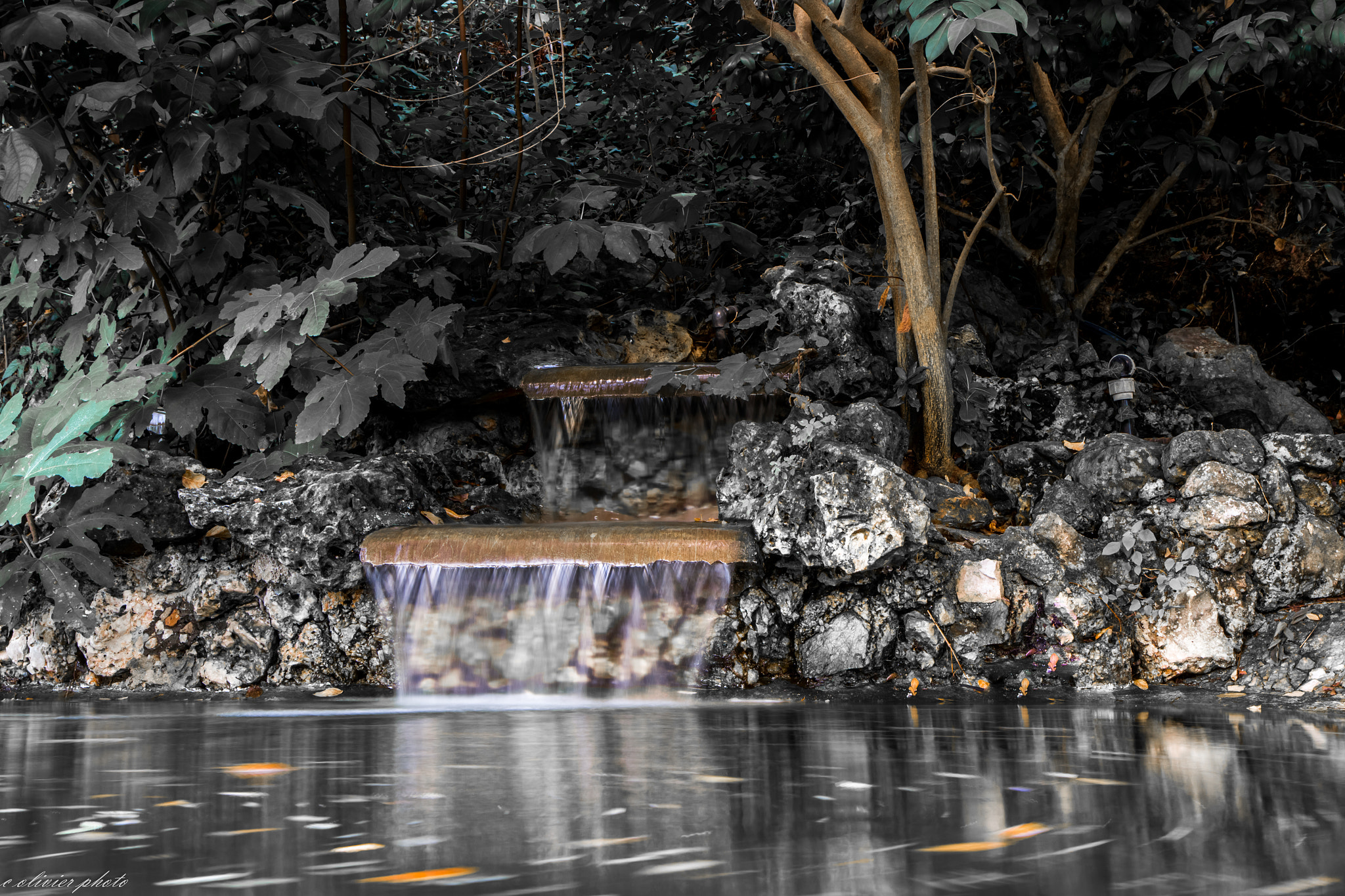 Canon EF-S 17-55mm F2.8 IS USM sample photo. From monaco photography