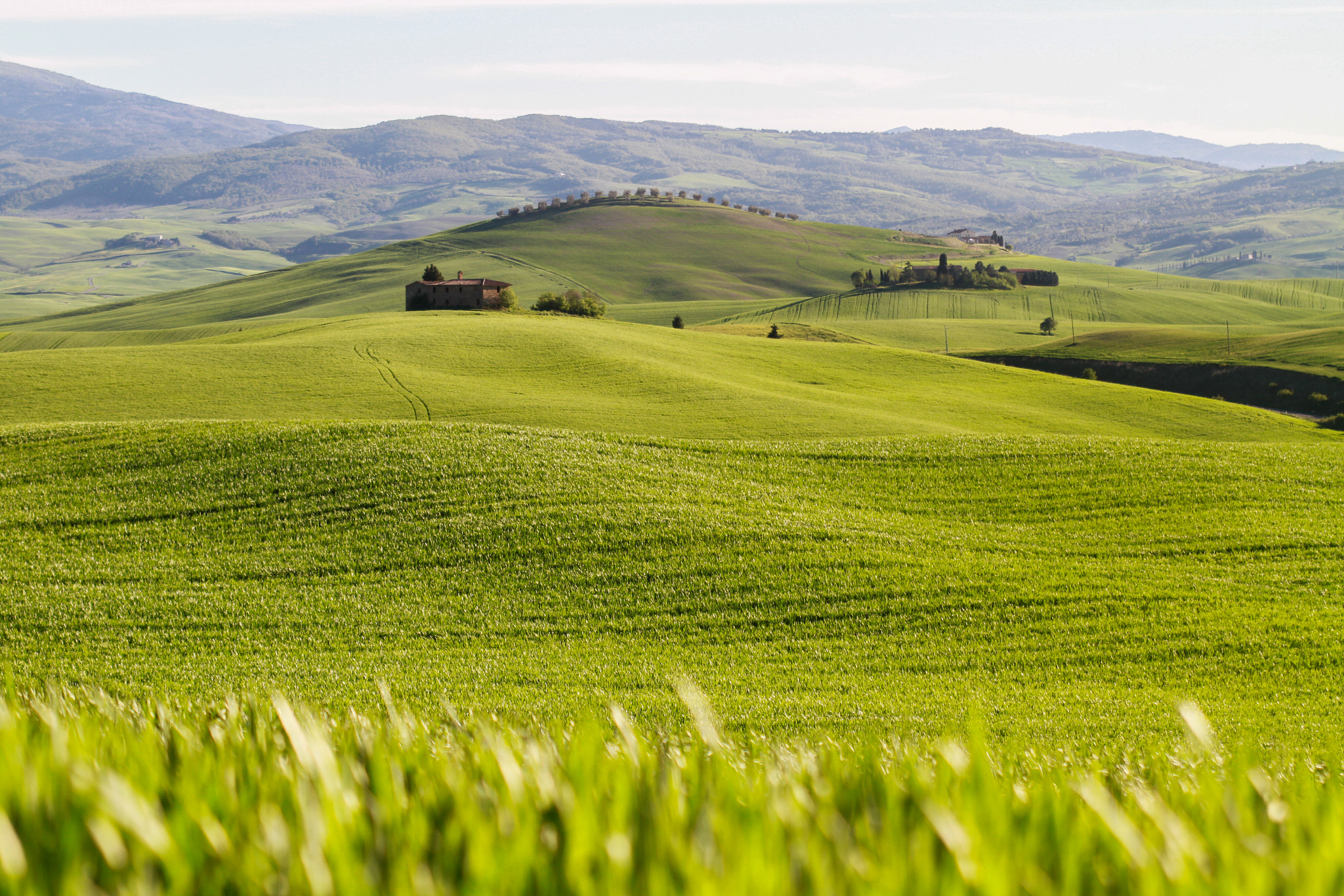 Sigma 70-200mm F2.8 EX DG OS HSM sample photo. Spring in tuscany photography
