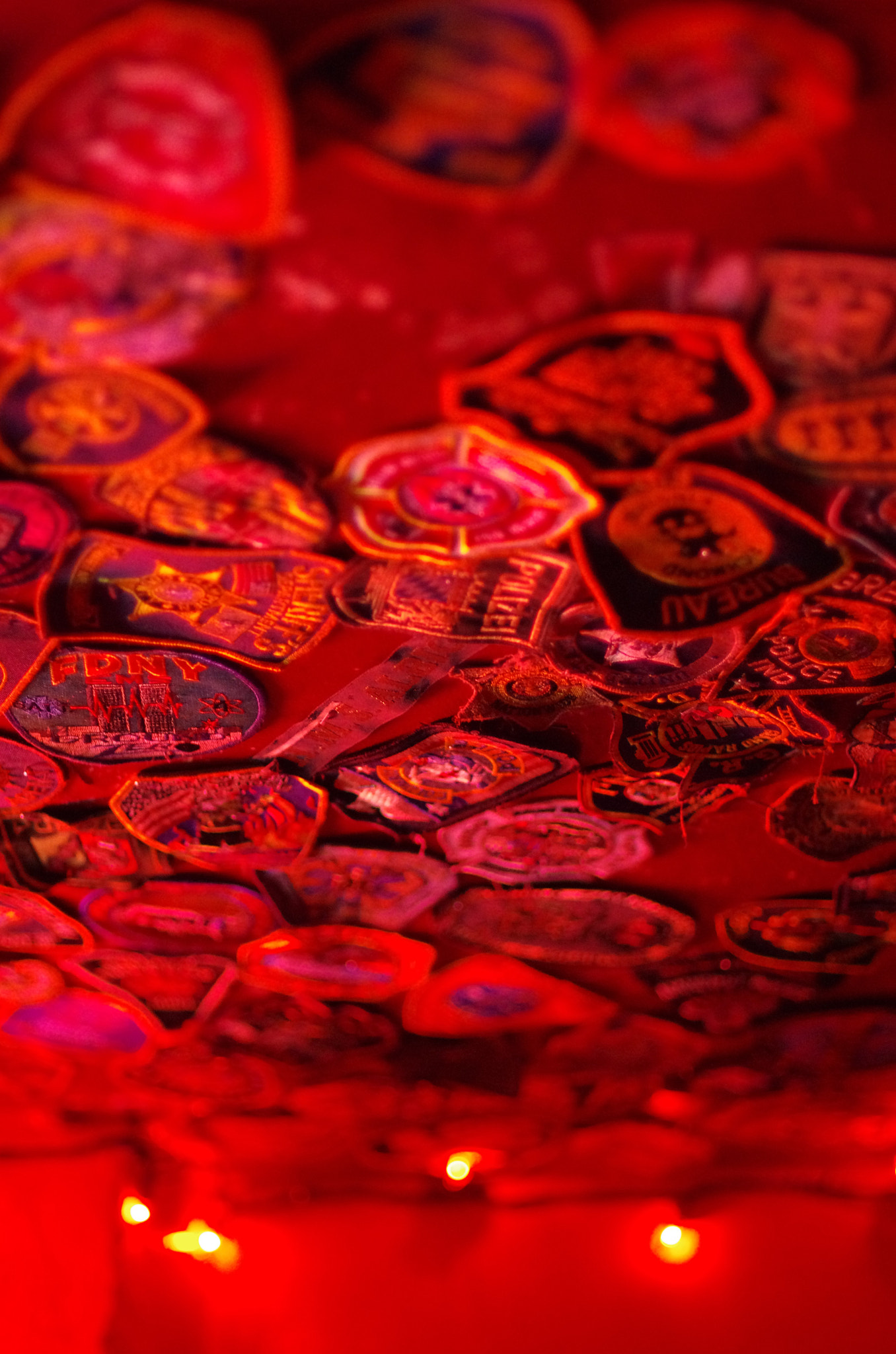 Pentax smc DA* 55mm F1.4 SDM sample photo. Red hot coyote photography