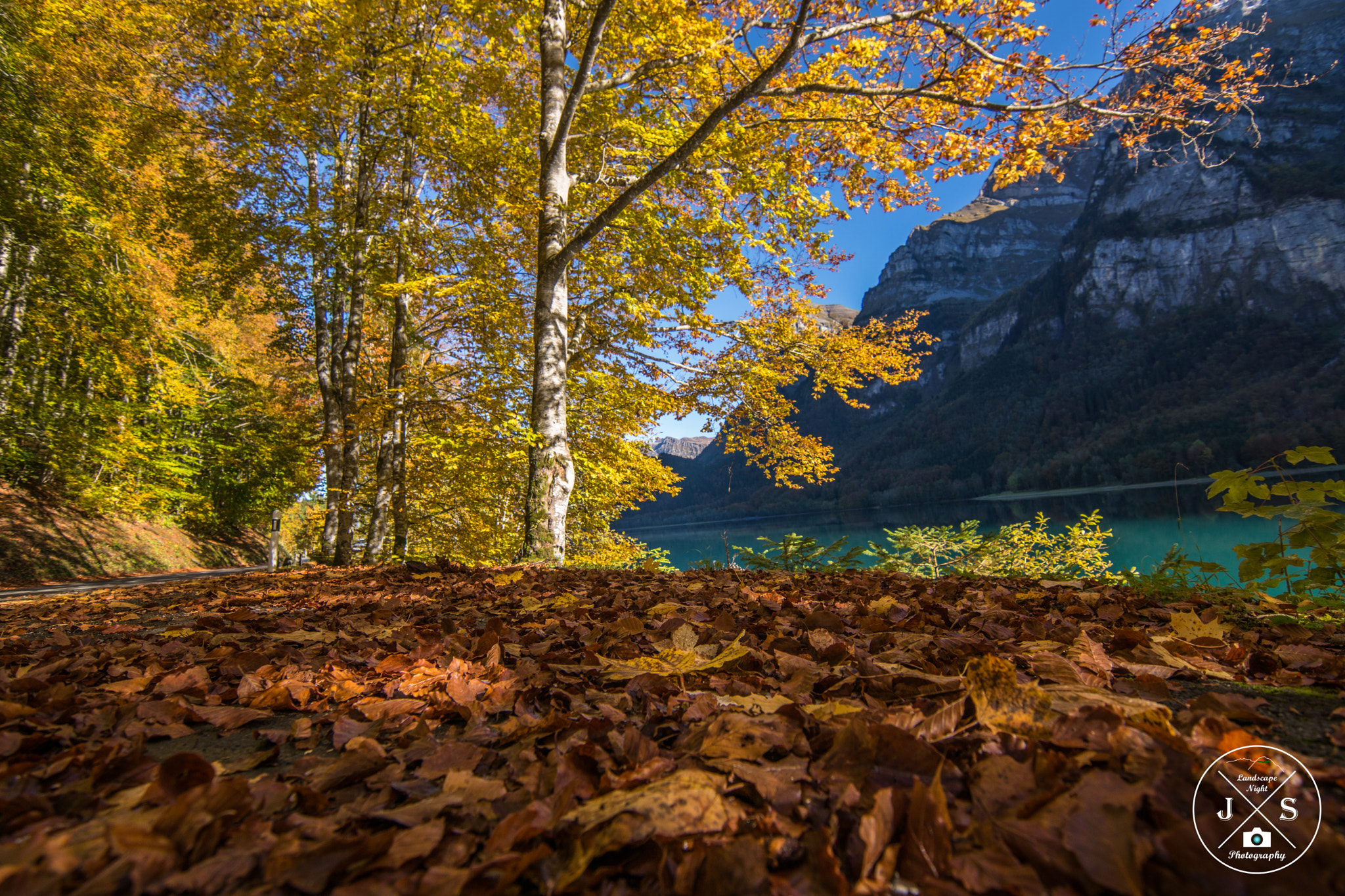 Sony ILCA-77M2 + 20mm F2.8 sample photo. Herbststimmung photography