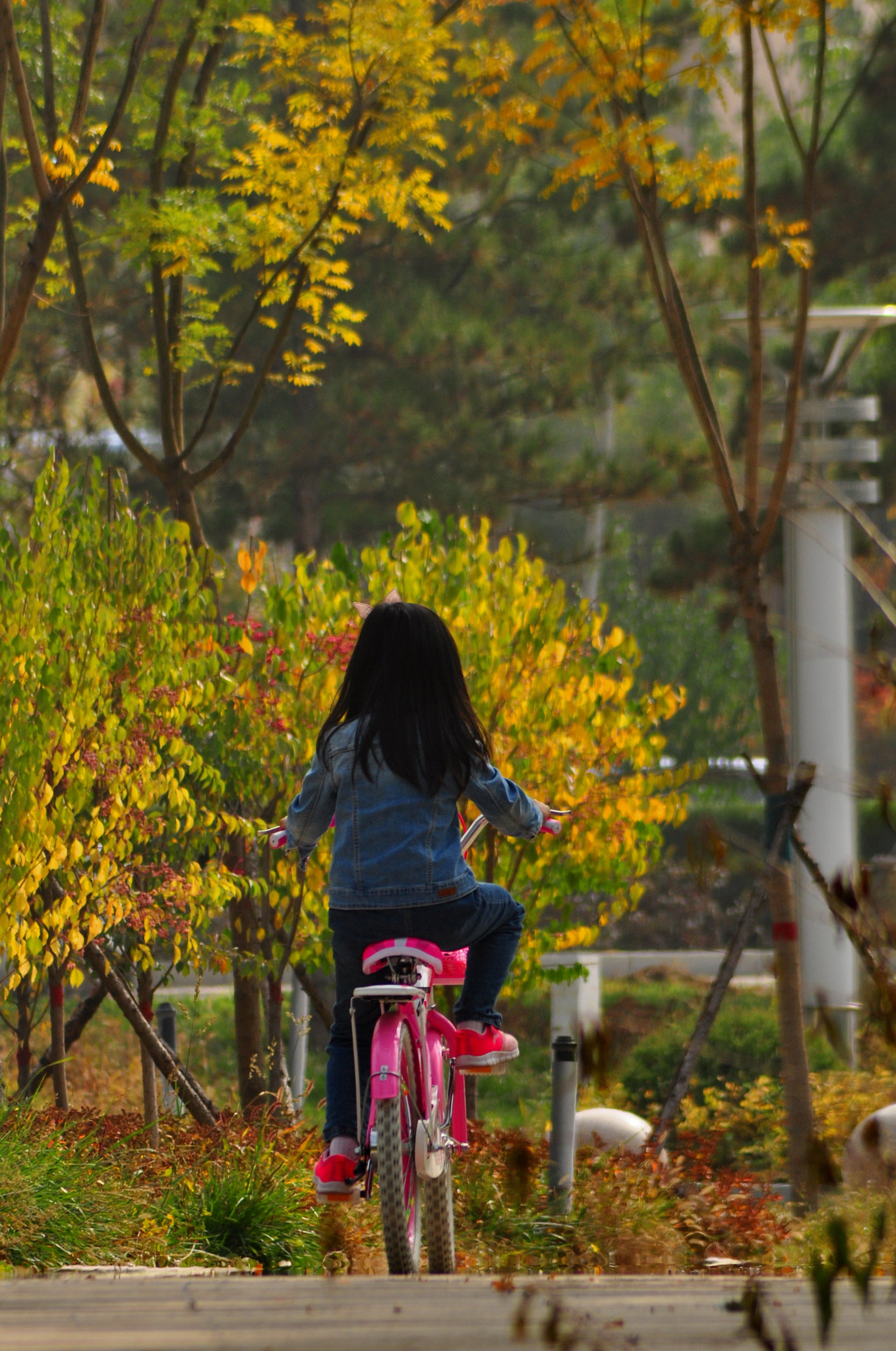 Nikon AF Nikkor 70-300mm F4-5.6G sample photo. Figure photography