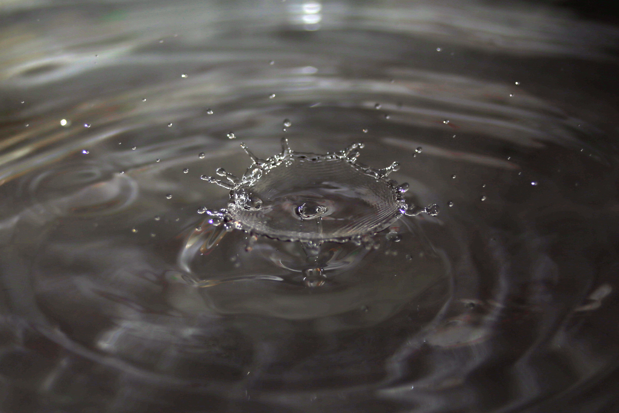 Canon EF 28-80mm f/3.5-5.6 sample photo