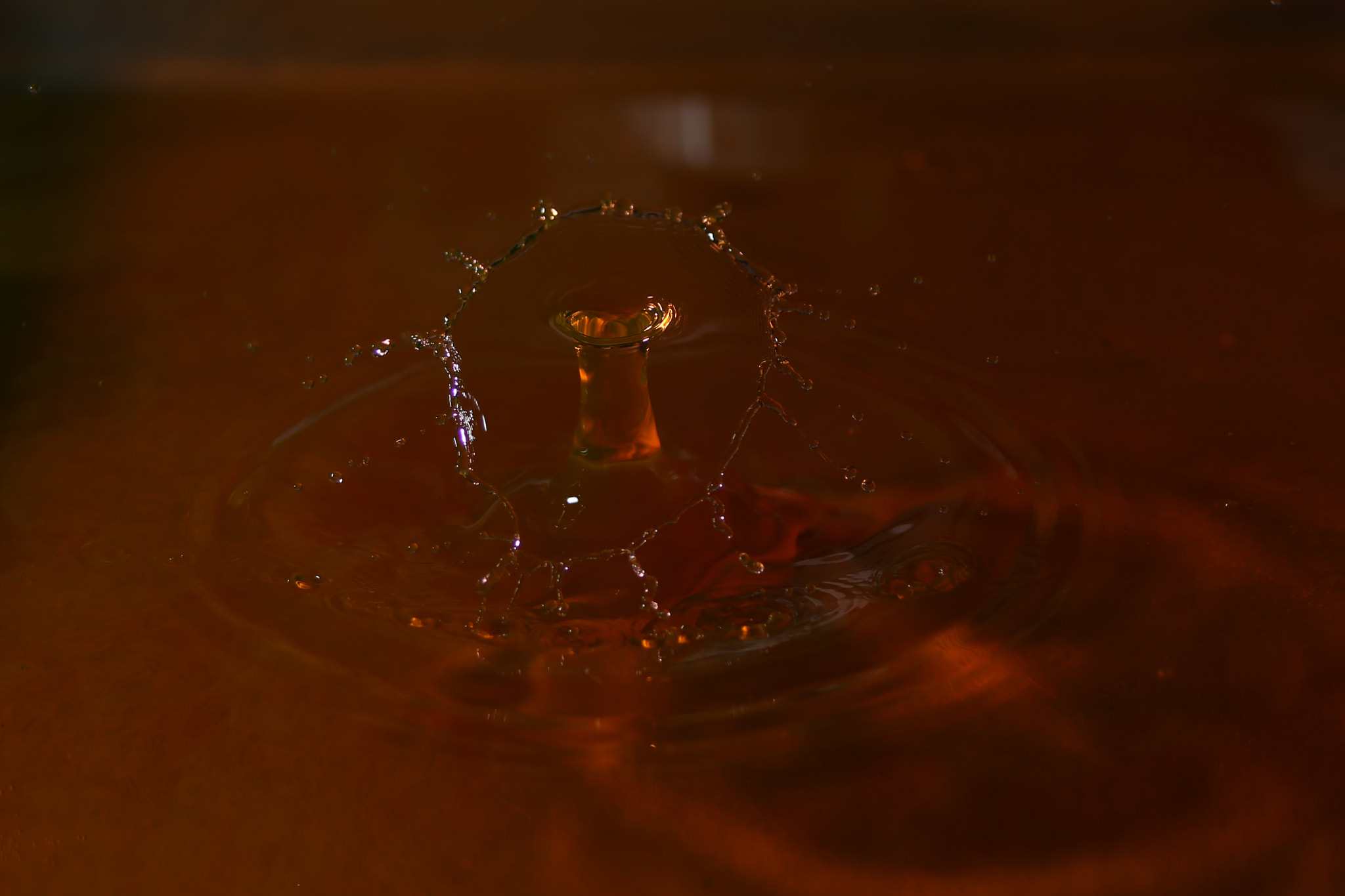 Canon EF 28-80mm f/3.5-5.6 sample photo