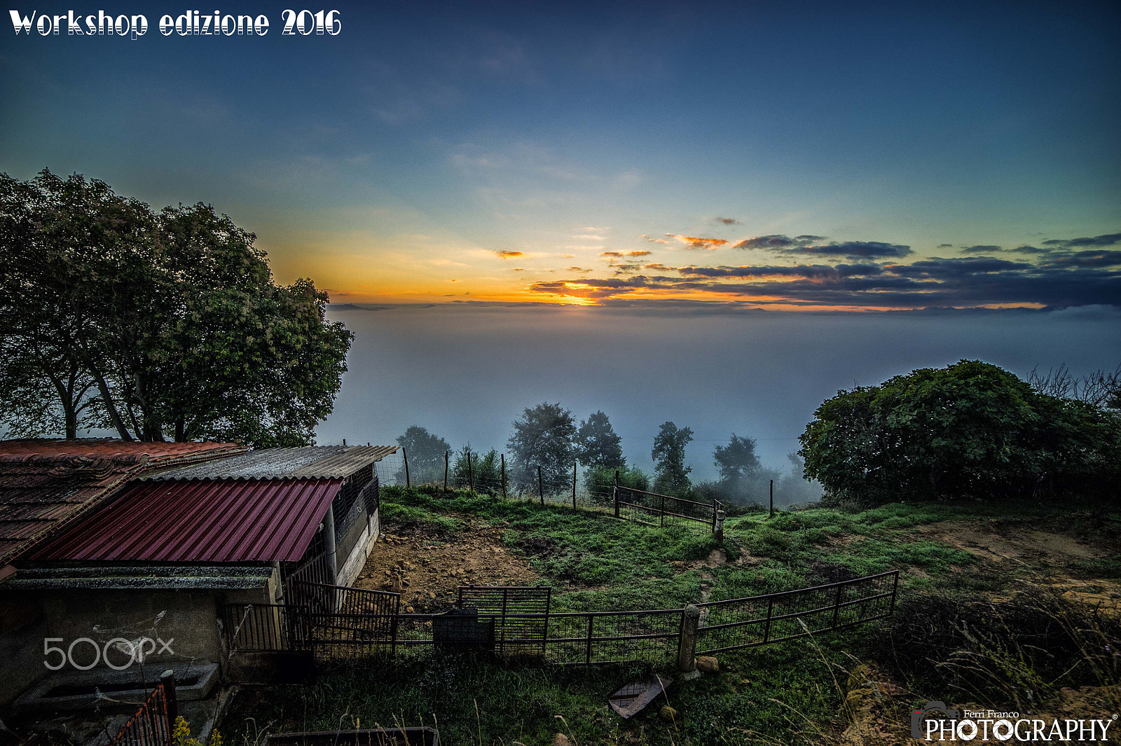 Nikon D3S sample photo. Nebbia sul colle belvedere photography