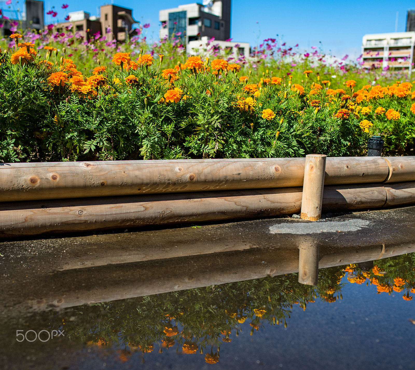 Nikon D600 + Nikon AF-S Nikkor 28mm F1.8G sample photo. After the rain photography