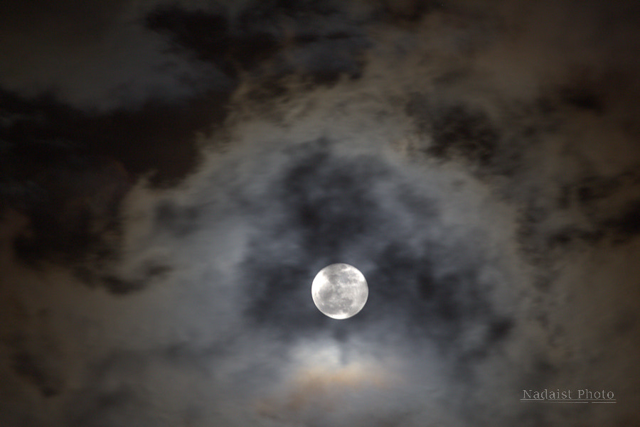 Canon EF 70-300mm F4-5.6 IS USM sample photo. Belle lune photography