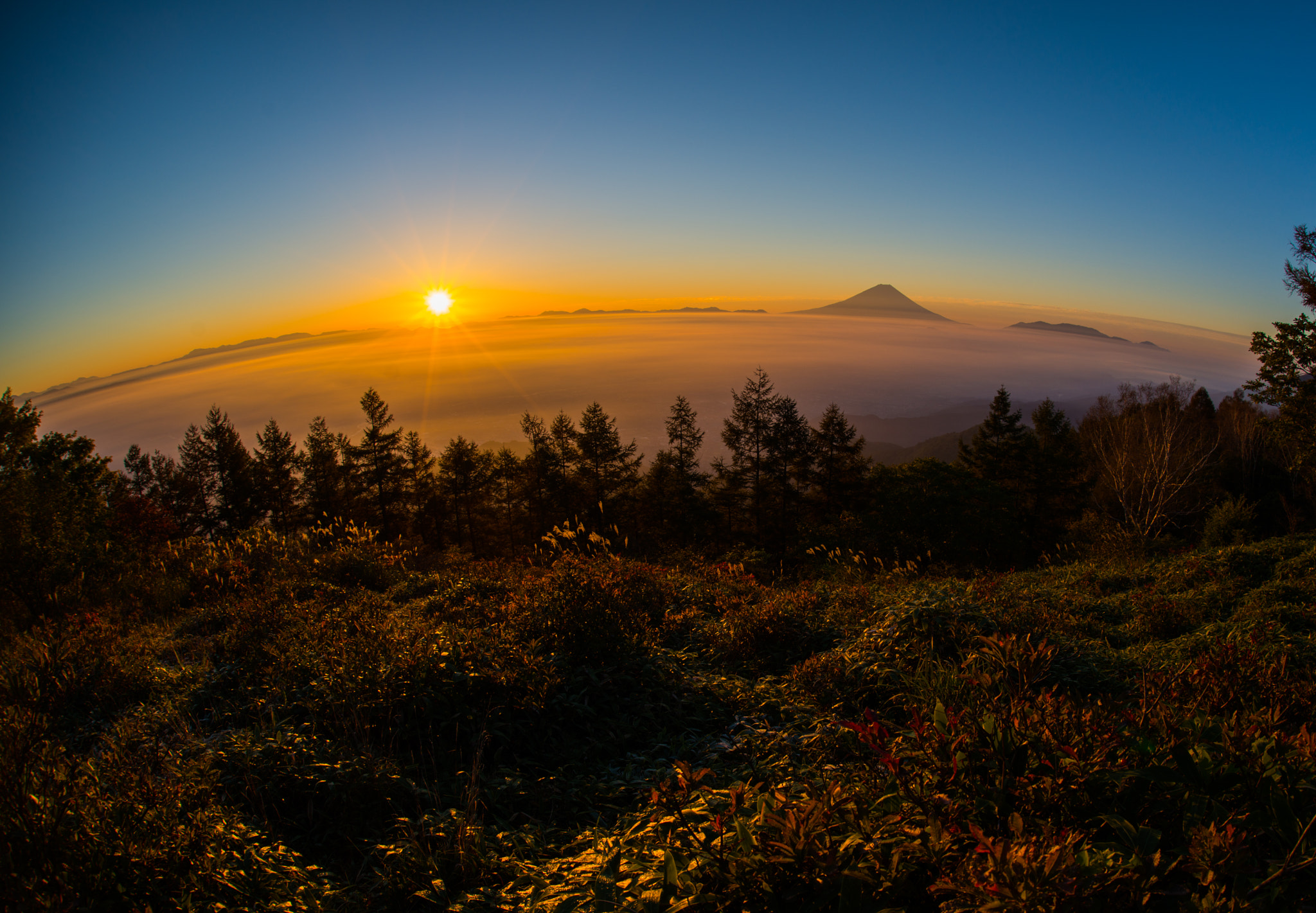 Nikon D800E + Sigma 15mm F2.8 EX DG Diagonal Fisheye sample photo. F photography