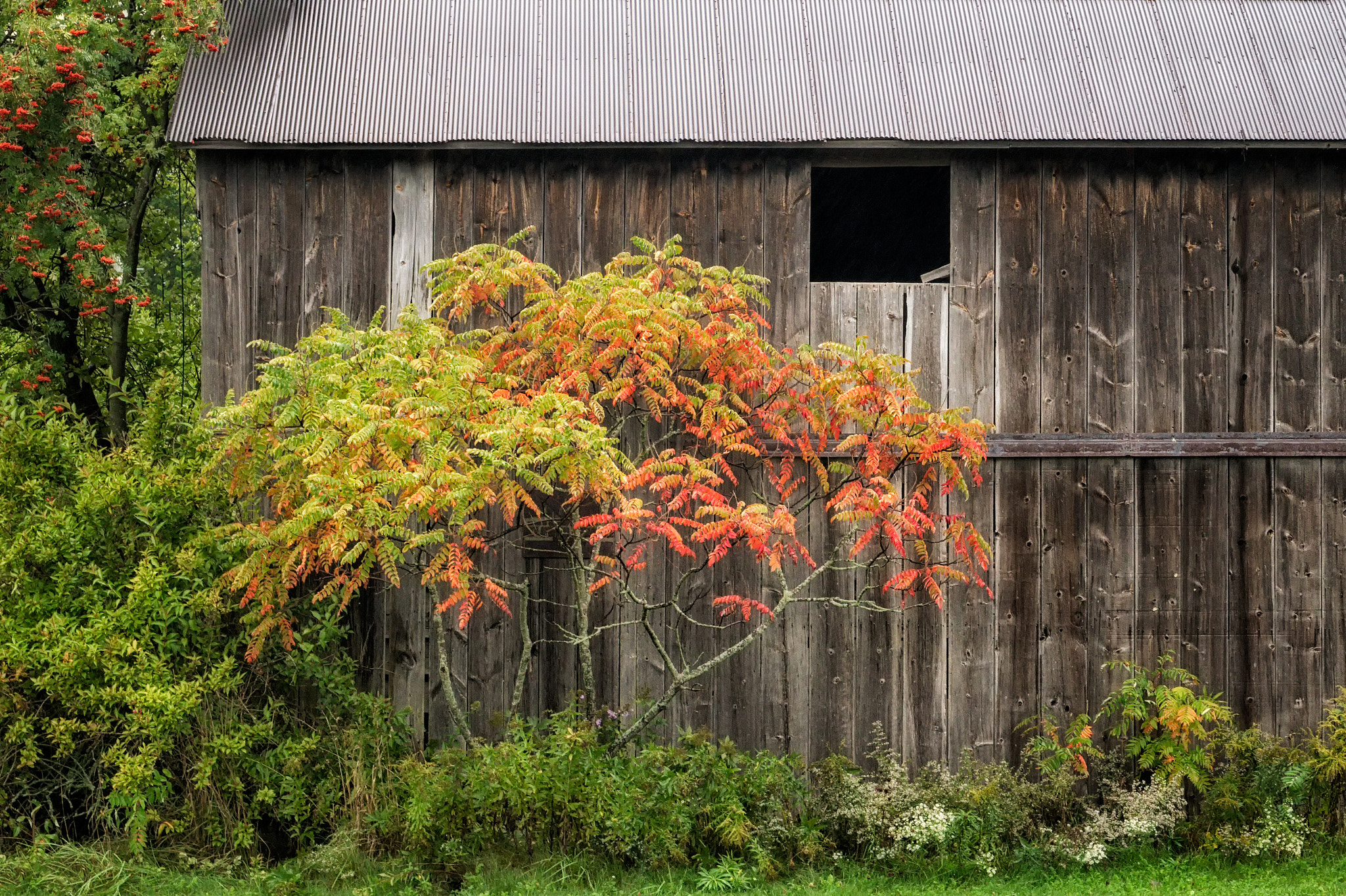 Sony E 18-200mm F3.5-6.3 OSS sample photo. 'broadside of a barn' photography