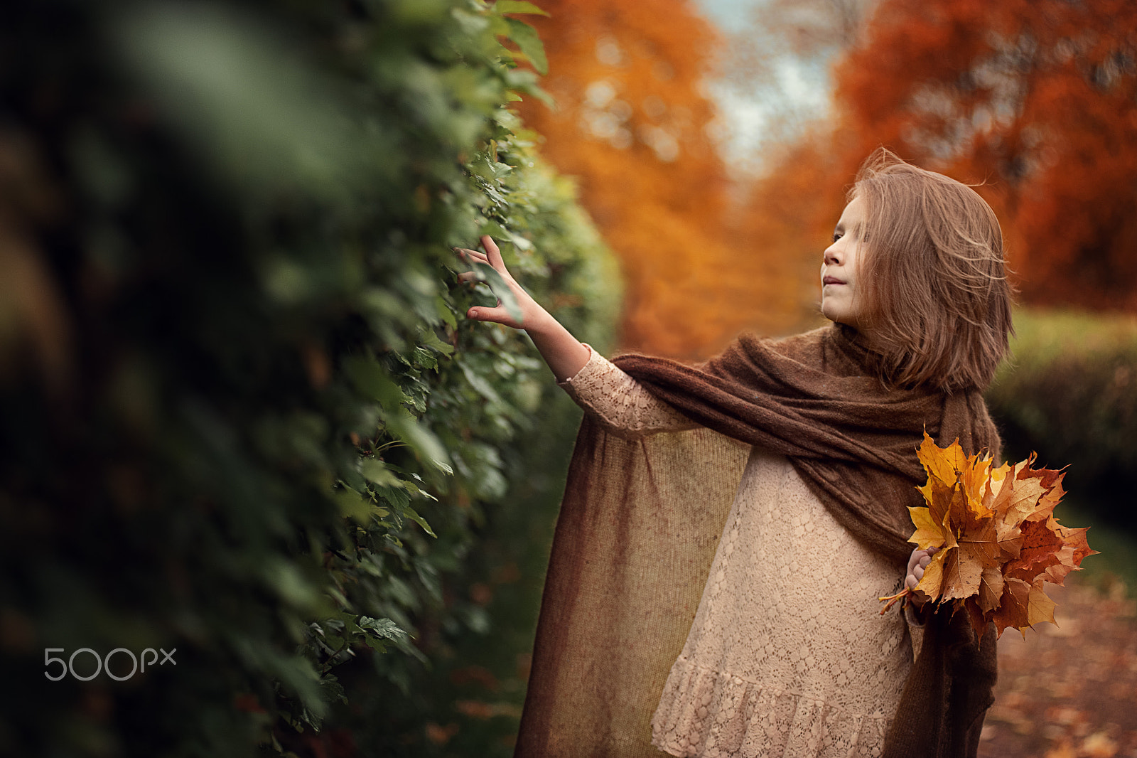 Nikon D3 sample photo. Girl in autumn photography
