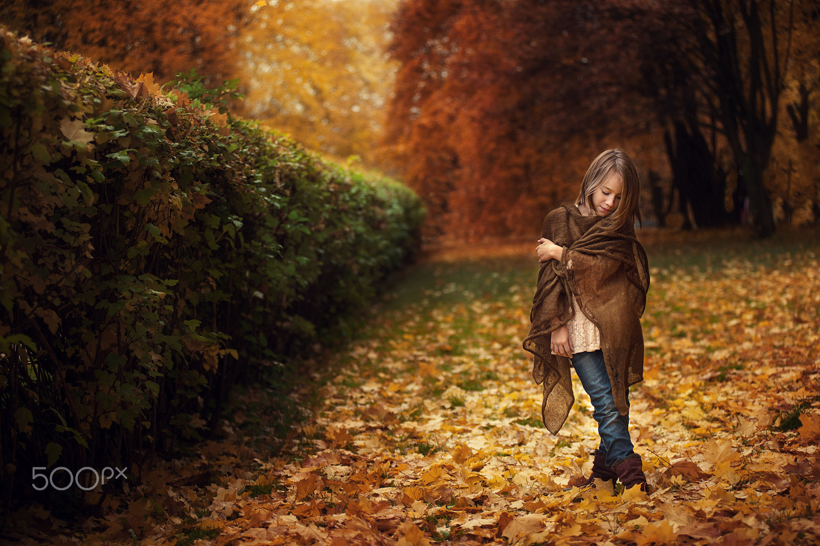 Nikon D3 sample photo. Girl in autumn photography