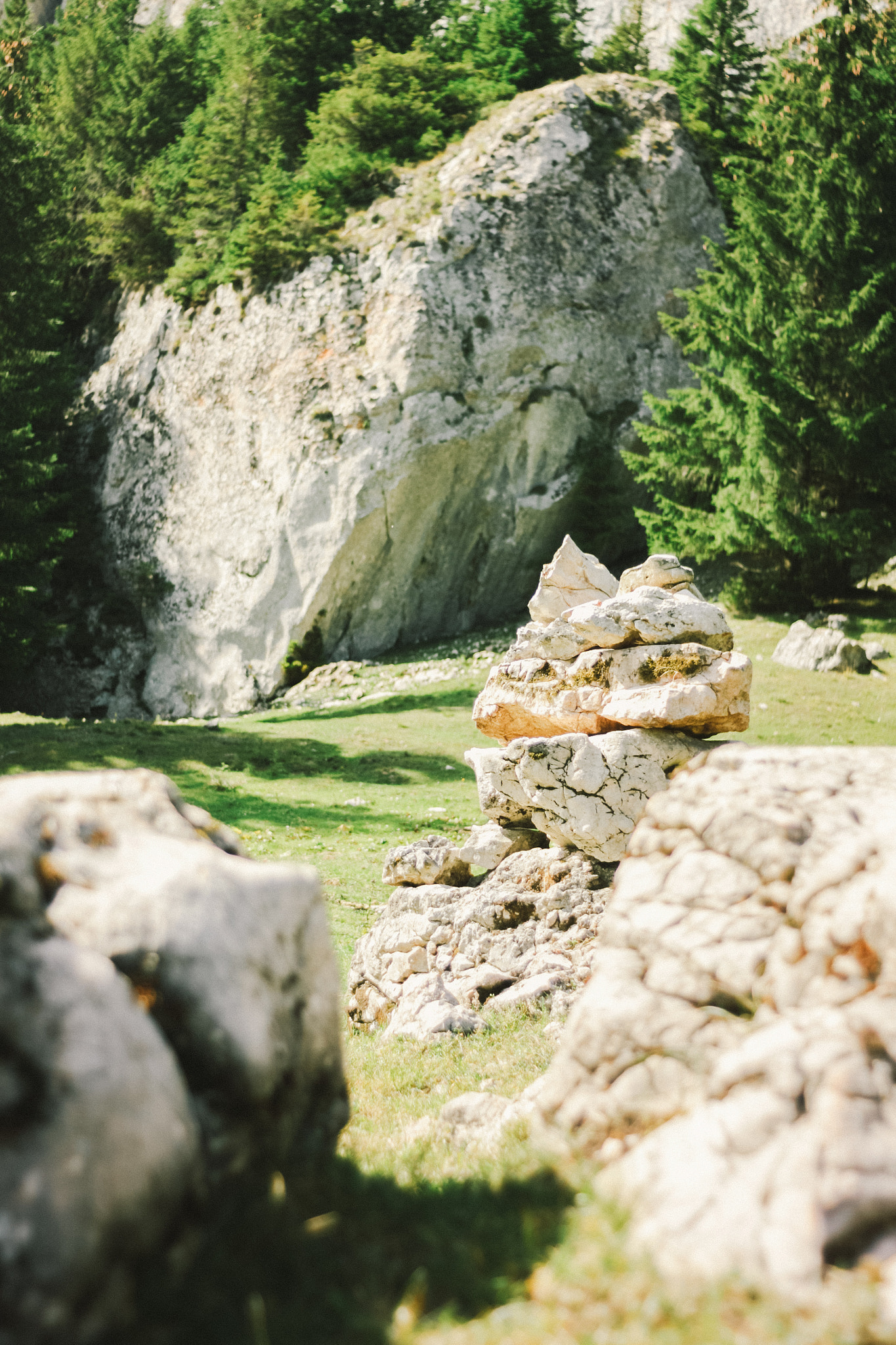 Canon EF 35-80mm f/4-5.6 sample photo. Totem photography