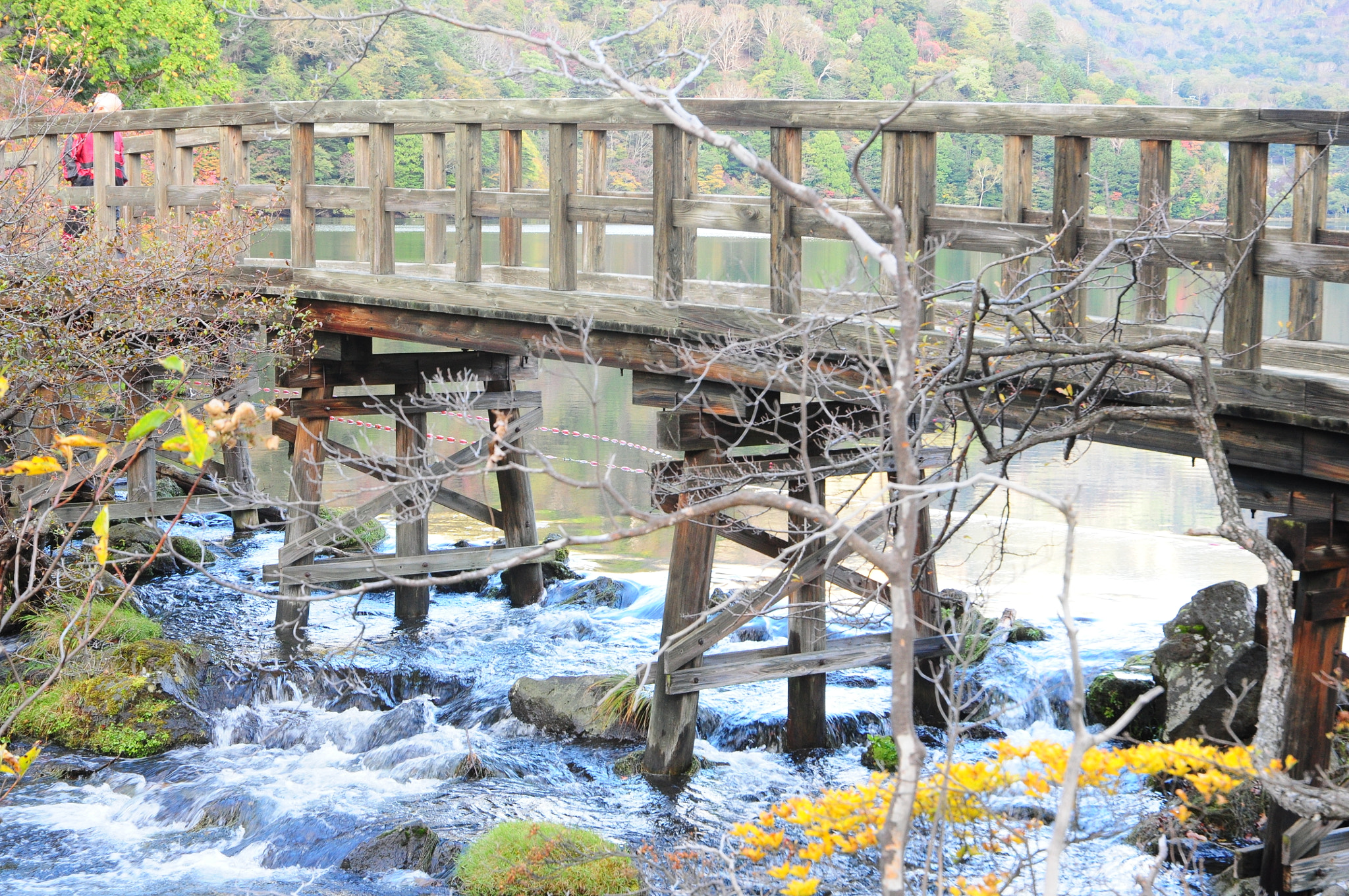Nikon D5000 sample photo. 奥日光 湯の湖 photography