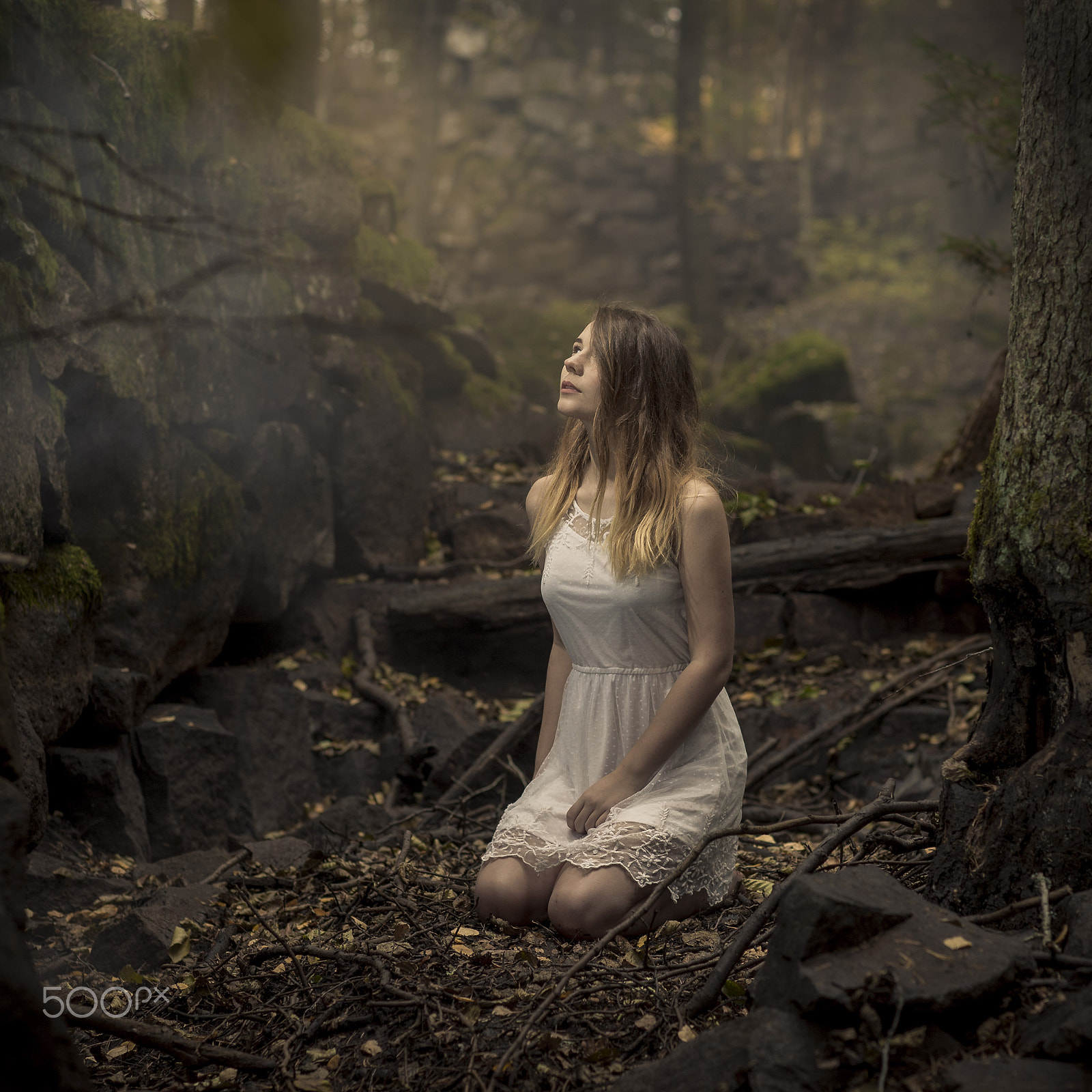 Nikon D4 + Nikon AF-S Nikkor 85mm F1.4G sample photo. Fairytale photography