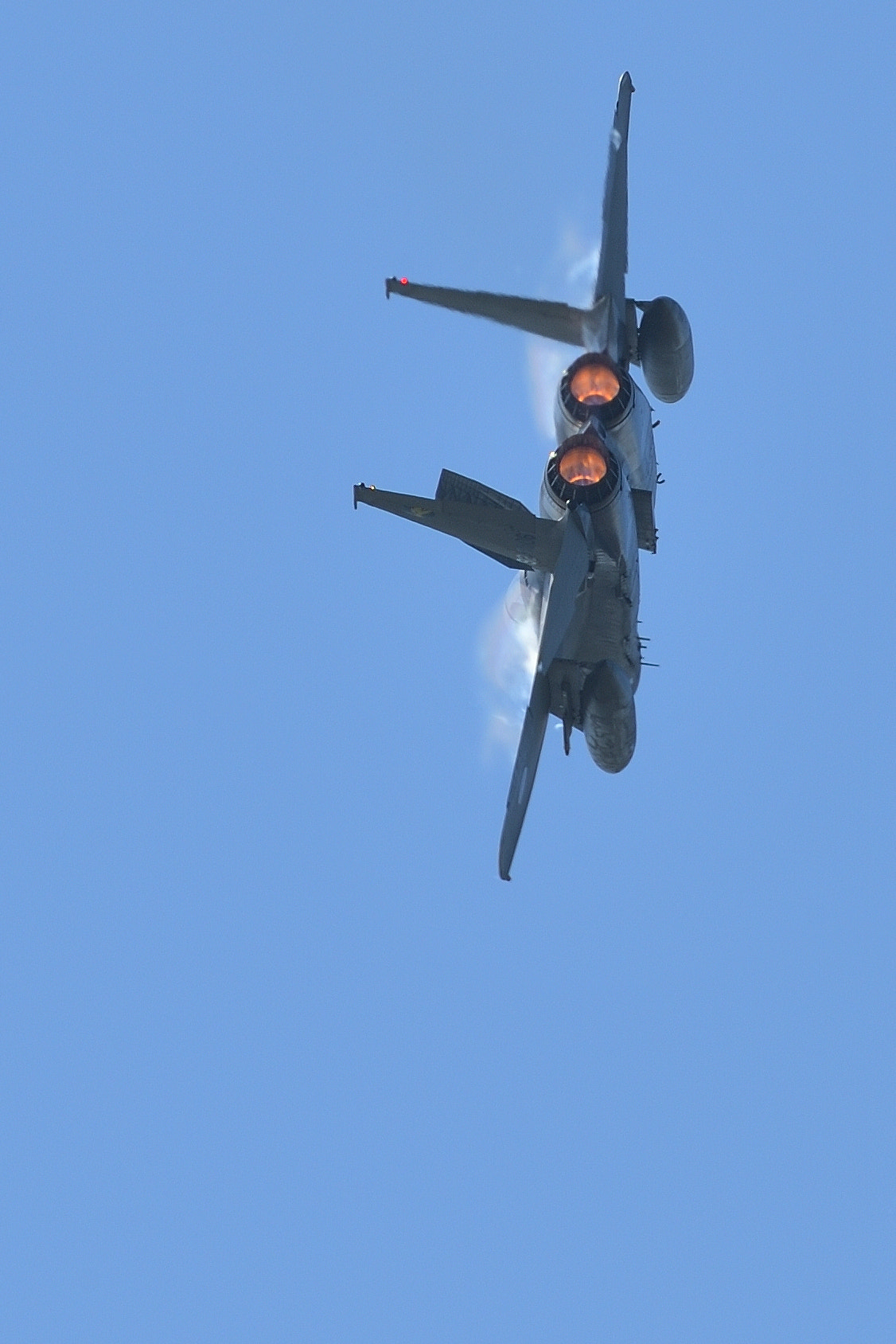 Nikon AF-S Nikkor 200-500mm F5.6E ED VR sample photo. F-15j photography