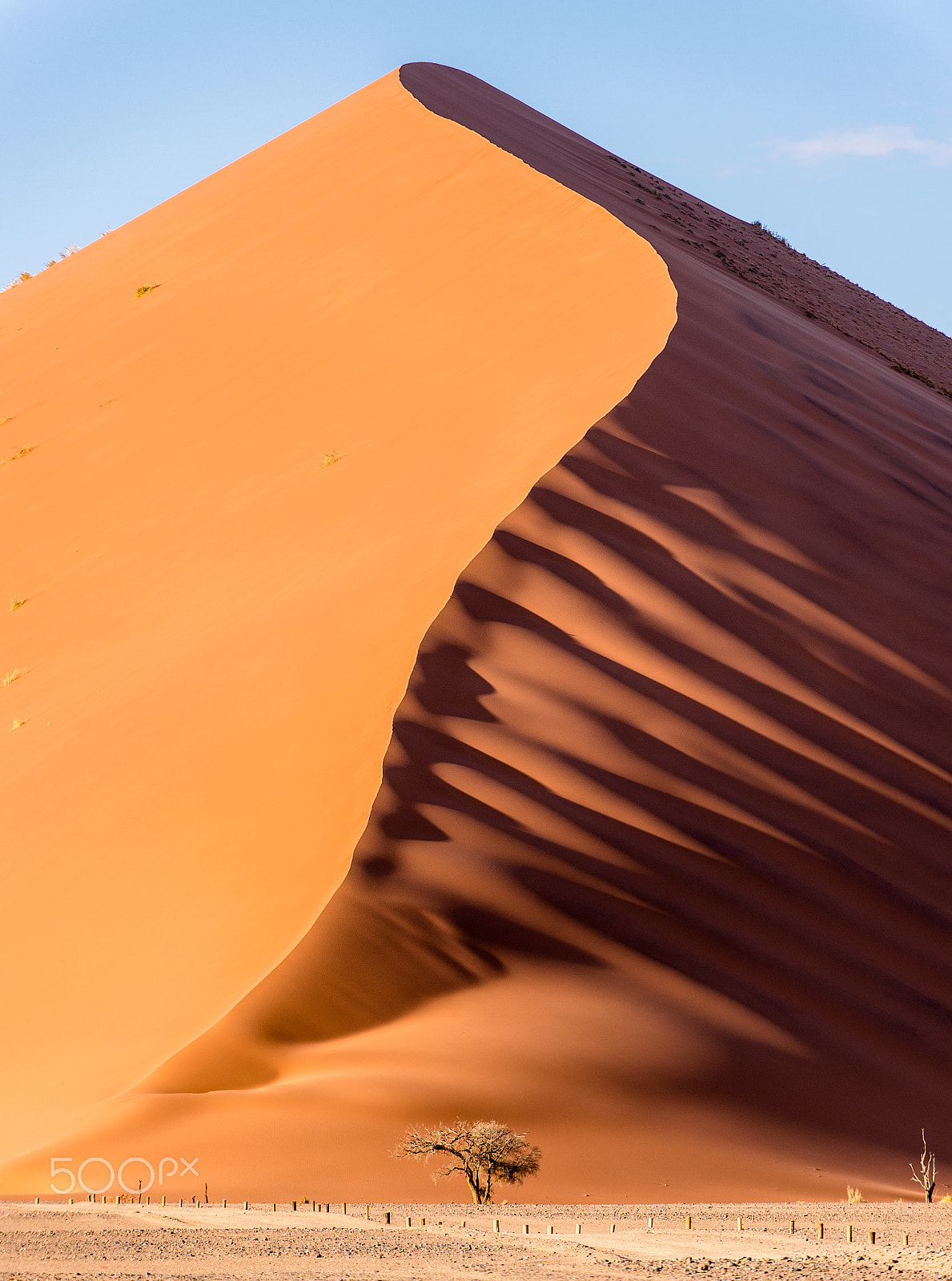 Nikon D4S sample photo. Dune close up photography