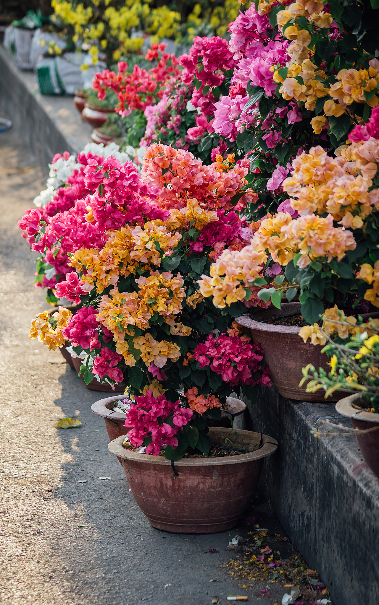 Sony DT 55-200mm F4-5.6 SAM sample photo. Ben binh dong () photography