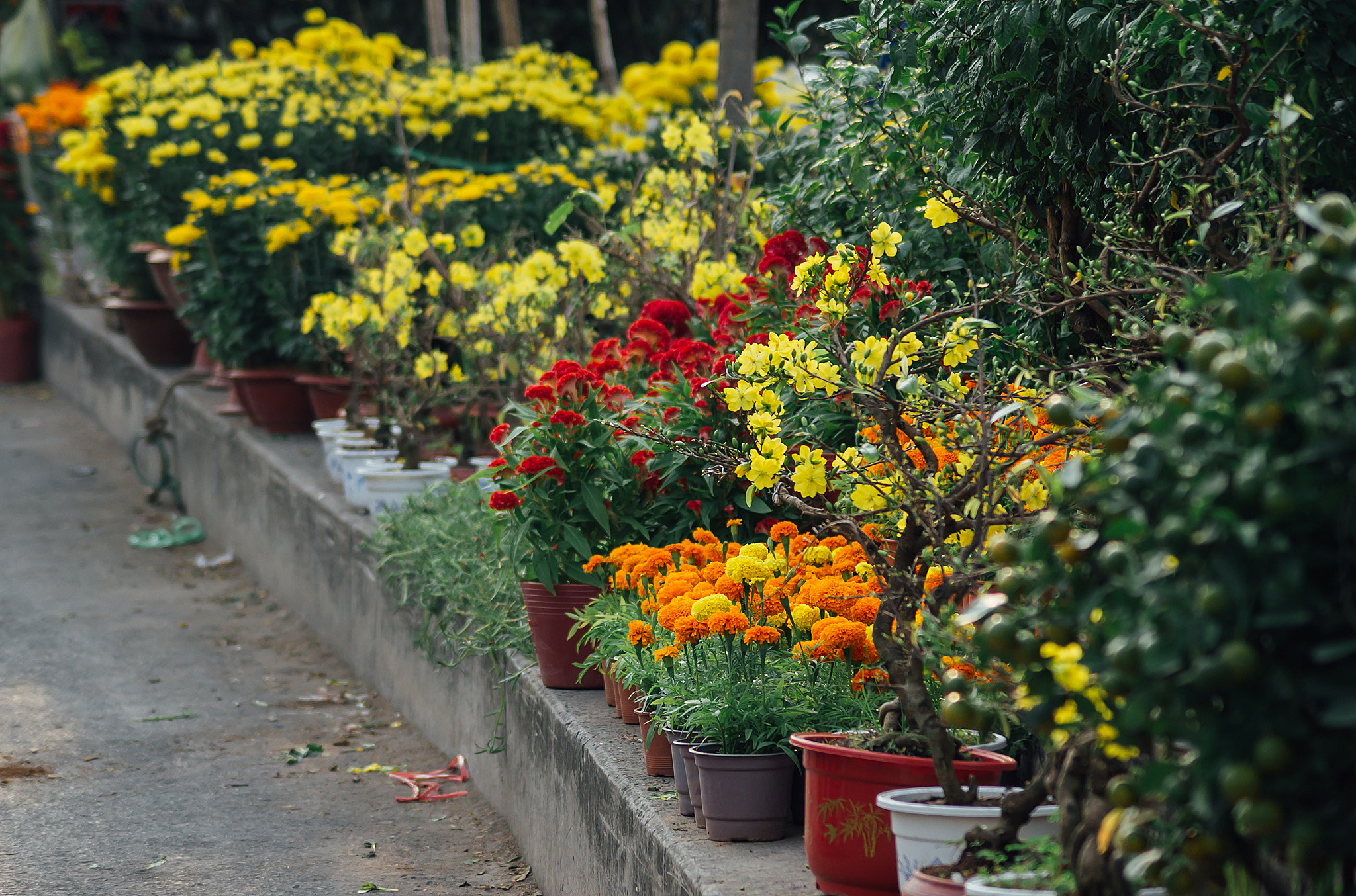 Sony DT 55-200mm F4-5.6 SAM sample photo. Ben binh dong () photography