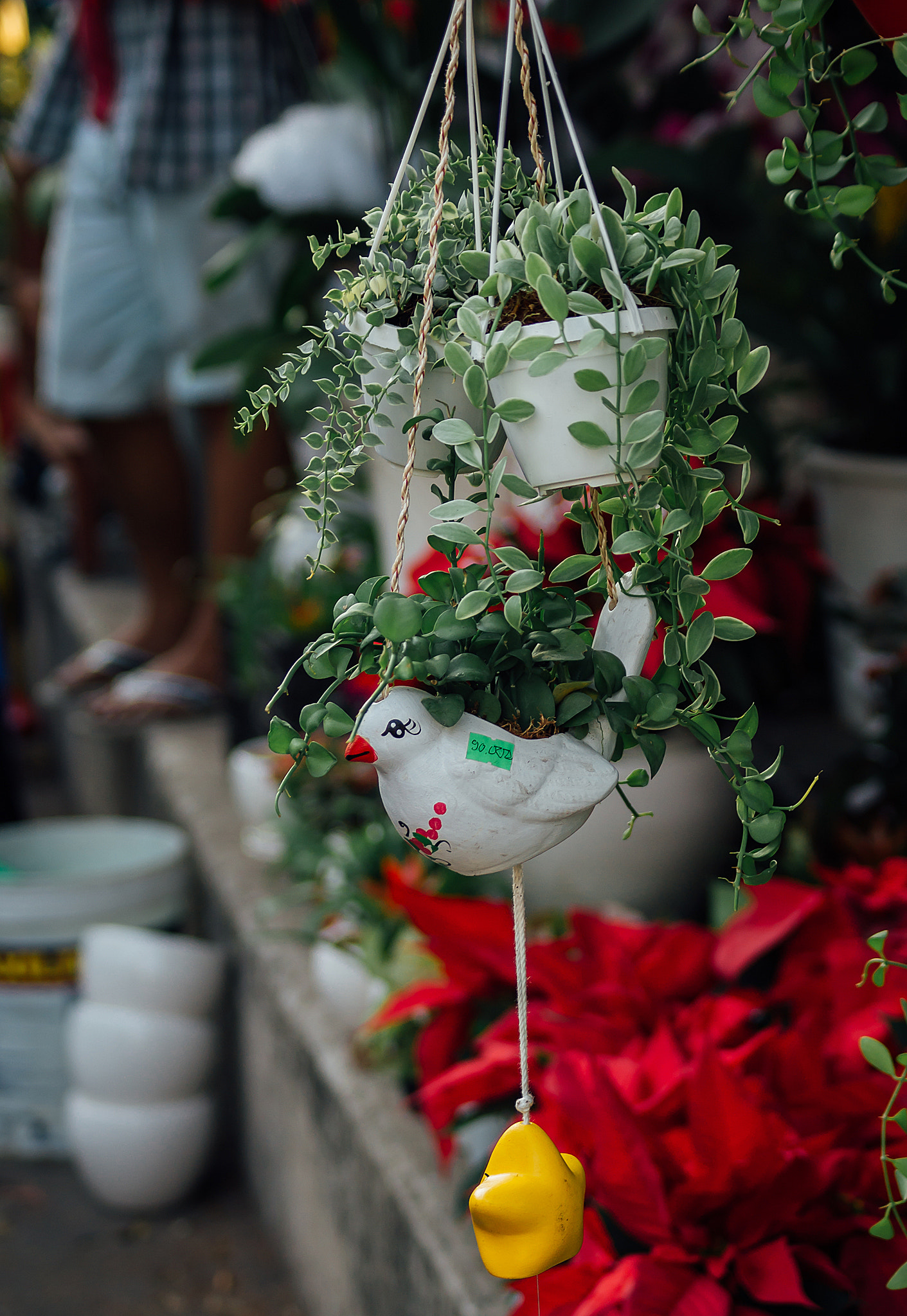 Sony DT 55-200mm F4-5.6 SAM sample photo. Ben binh dong () photography