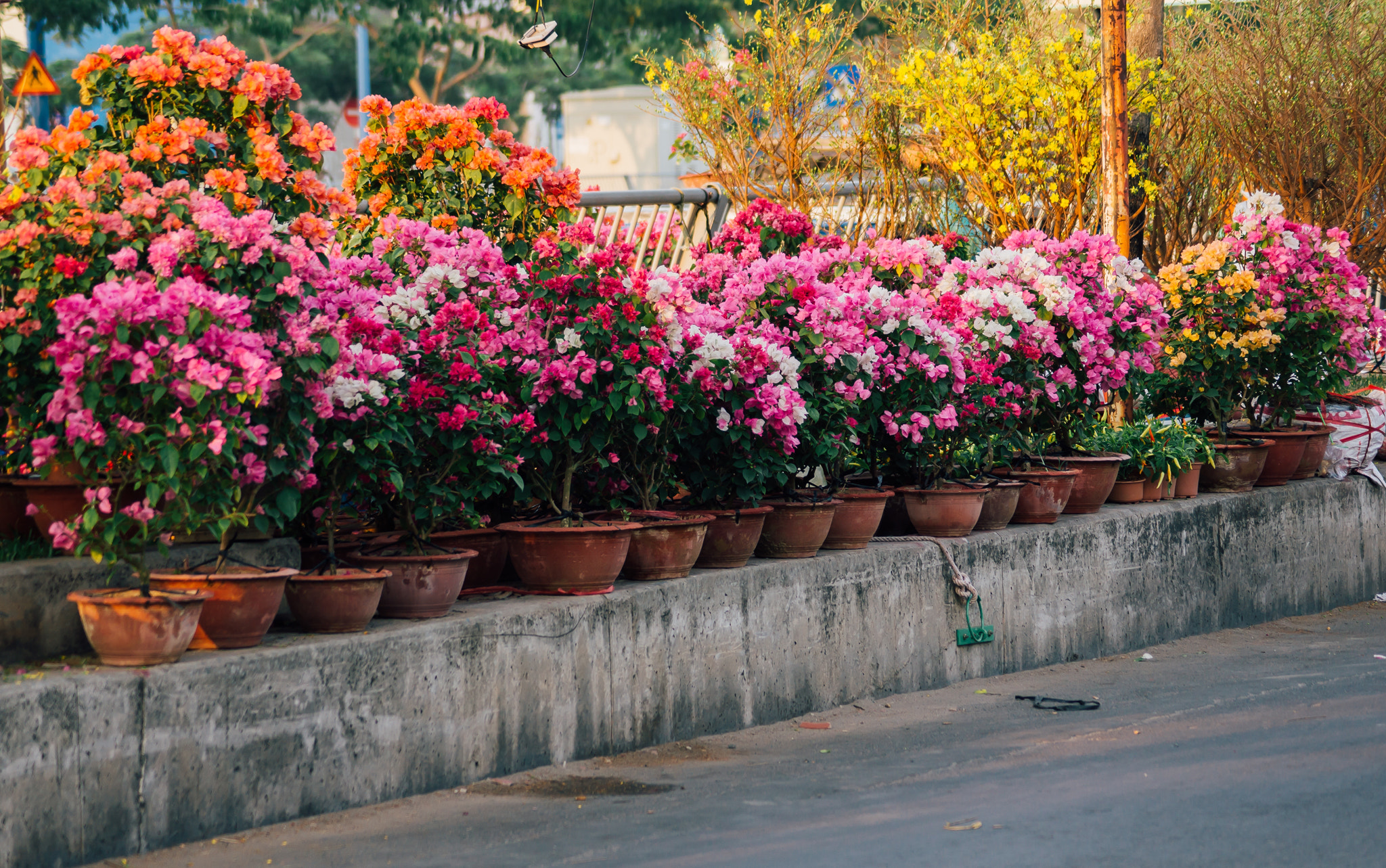 Sony DT 55-200mm F4-5.6 SAM sample photo. Ben binh dong () photography