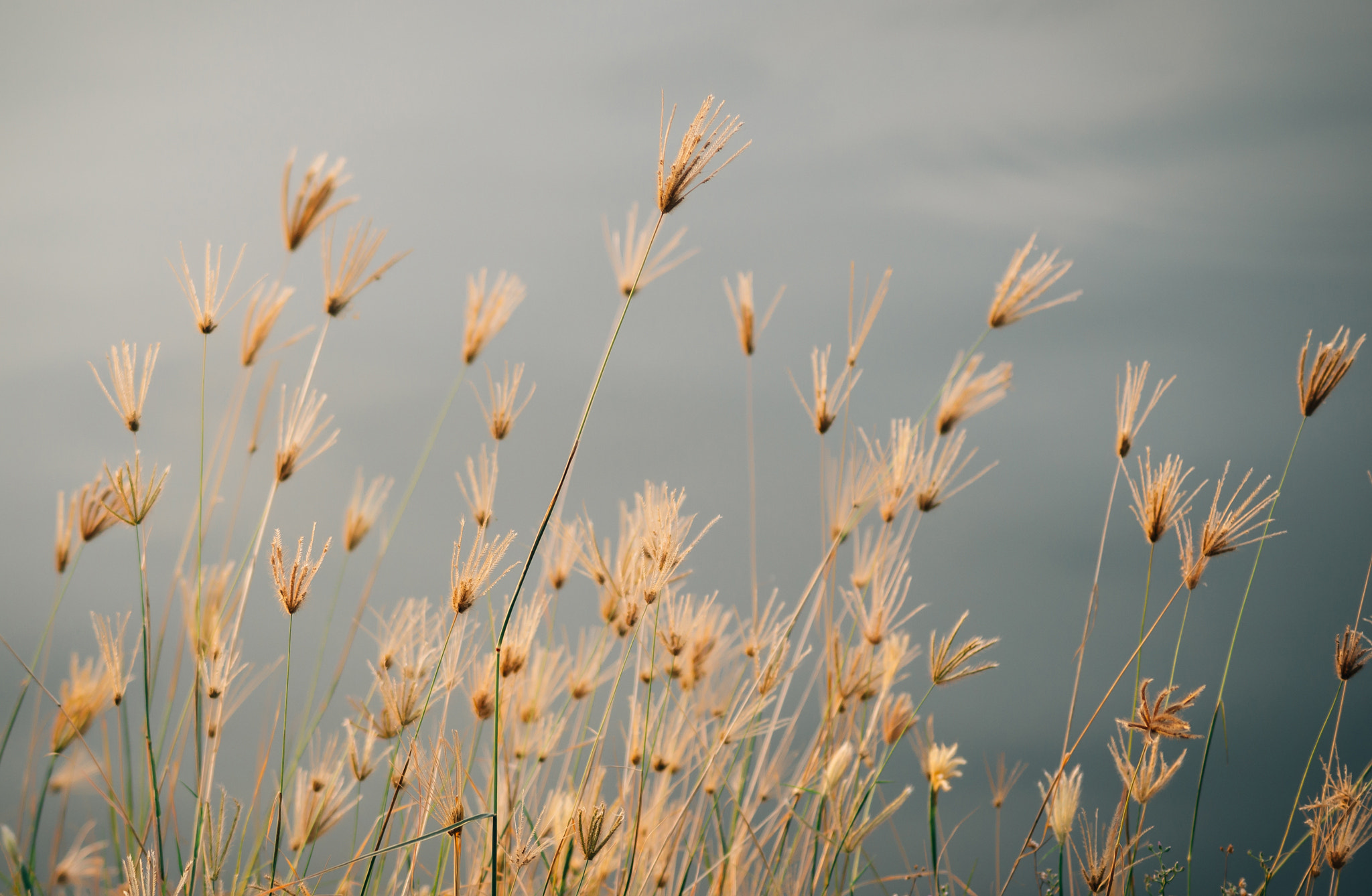 Sony DT 55-200mm F4-5.6 SAM sample photo. Ben binh dong () photography