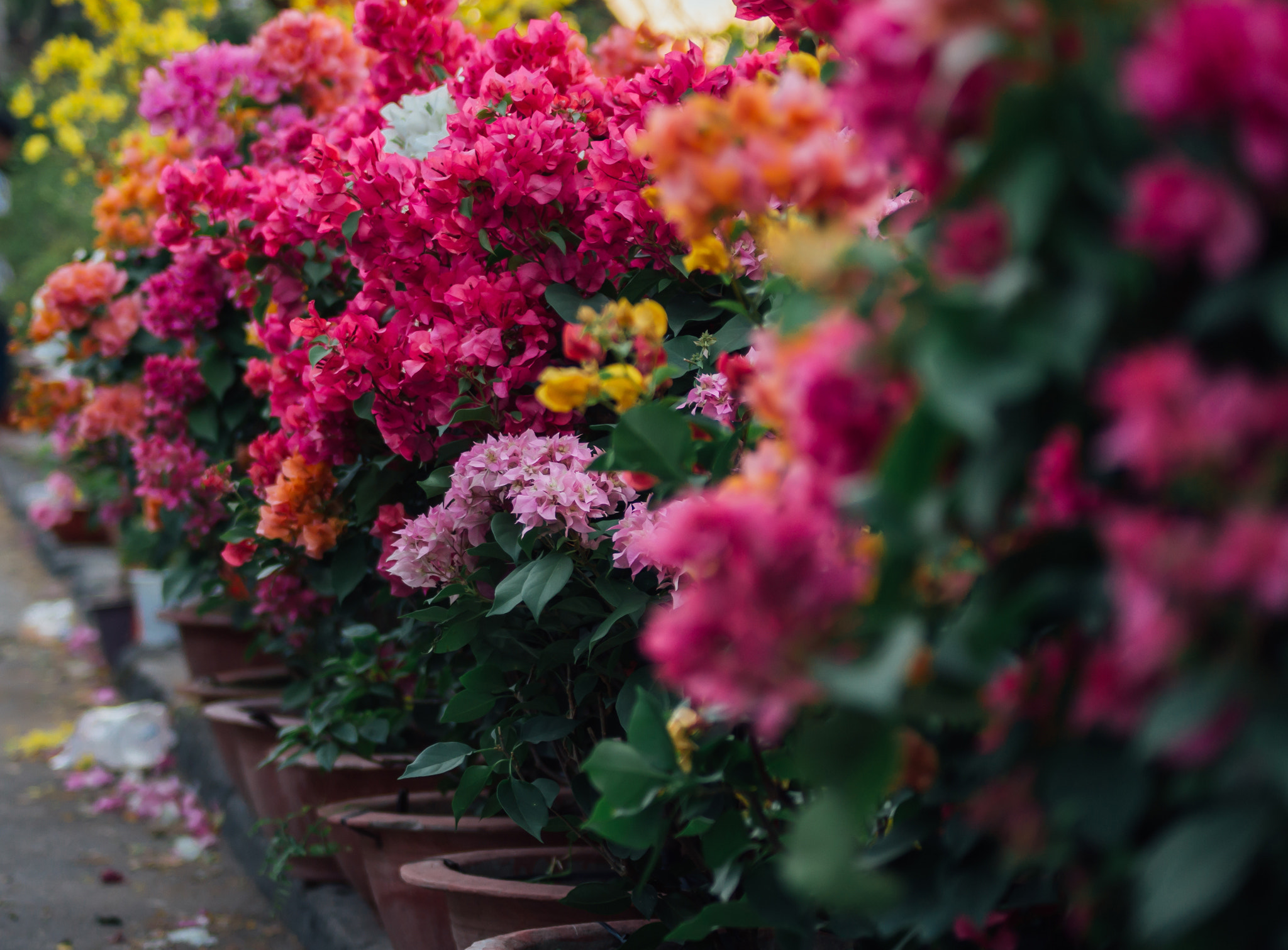 Sony DT 55-200mm F4-5.6 SAM sample photo. Ben binh dong () photography