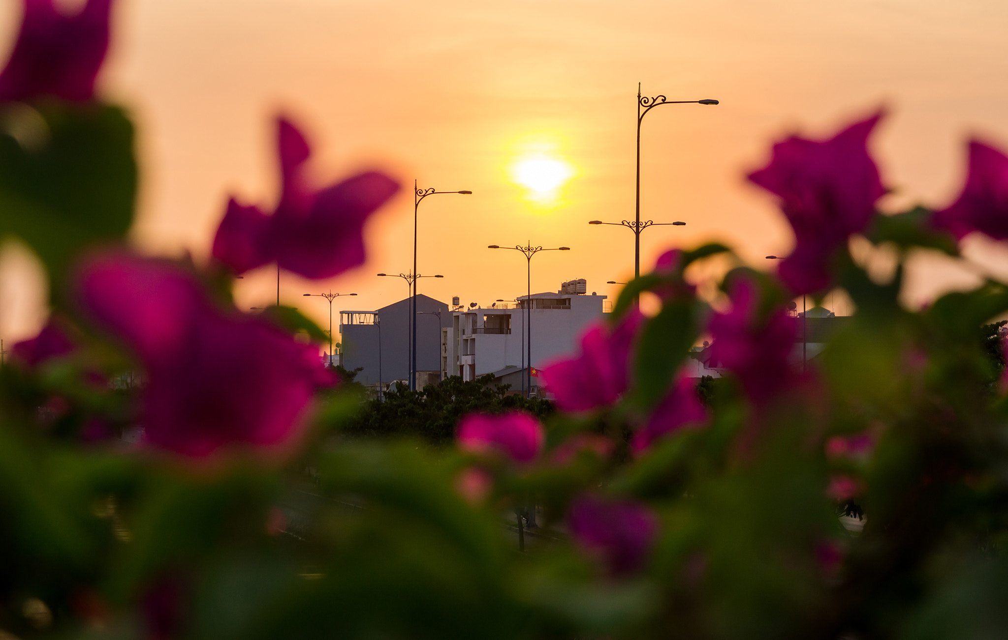 Sony DT 55-200mm F4-5.6 SAM sample photo. Ben binh dong () photography