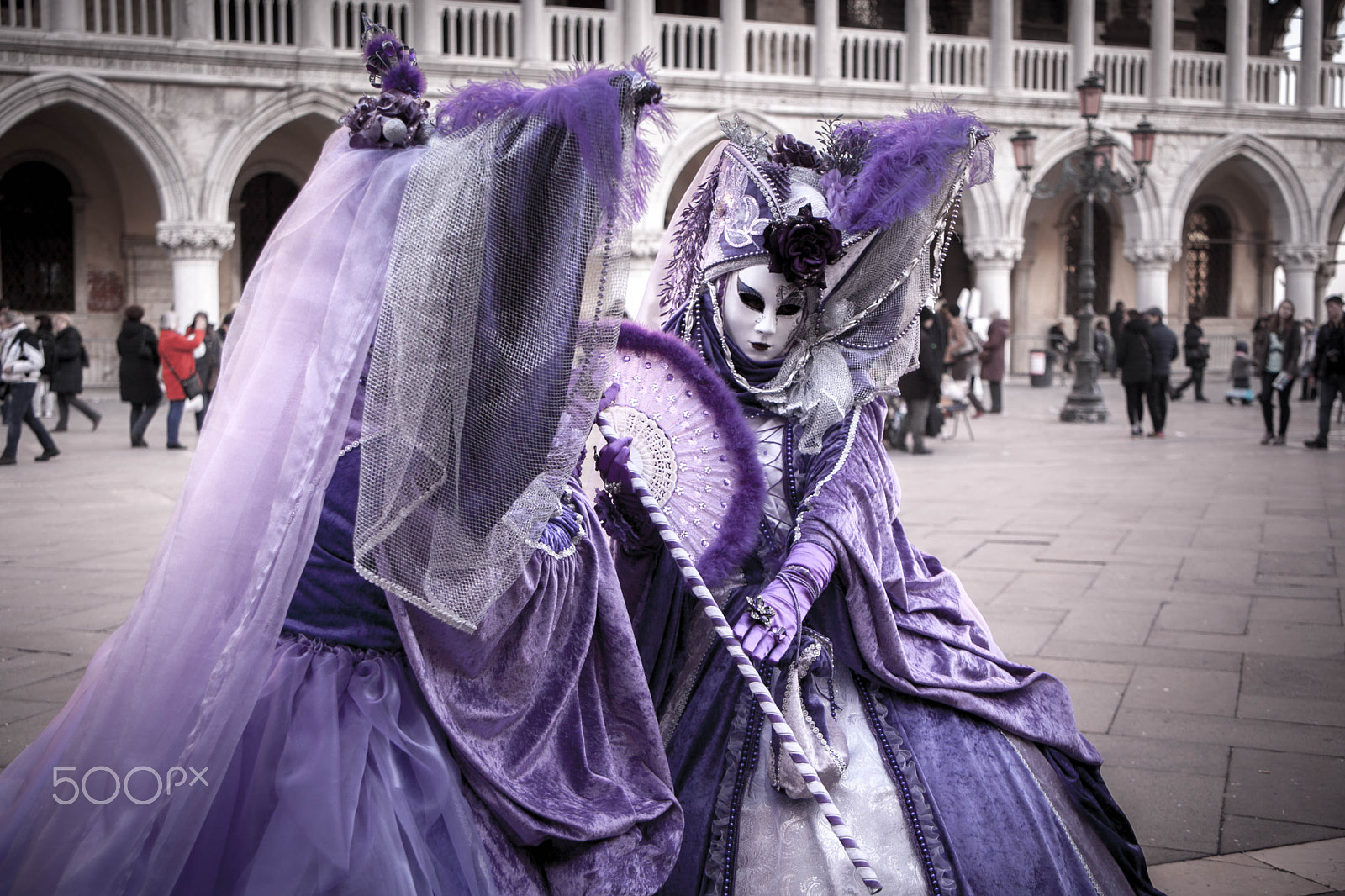 Canon EF 28-105mm f/3.5-4.5 USM sample photo. Purple witches photography