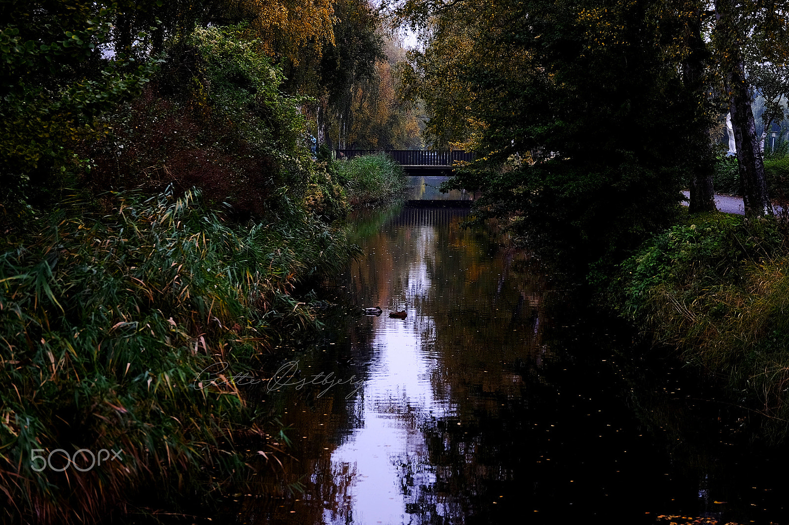 ZEISS Touit 50mm F2.8 sample photo. My hometown photography