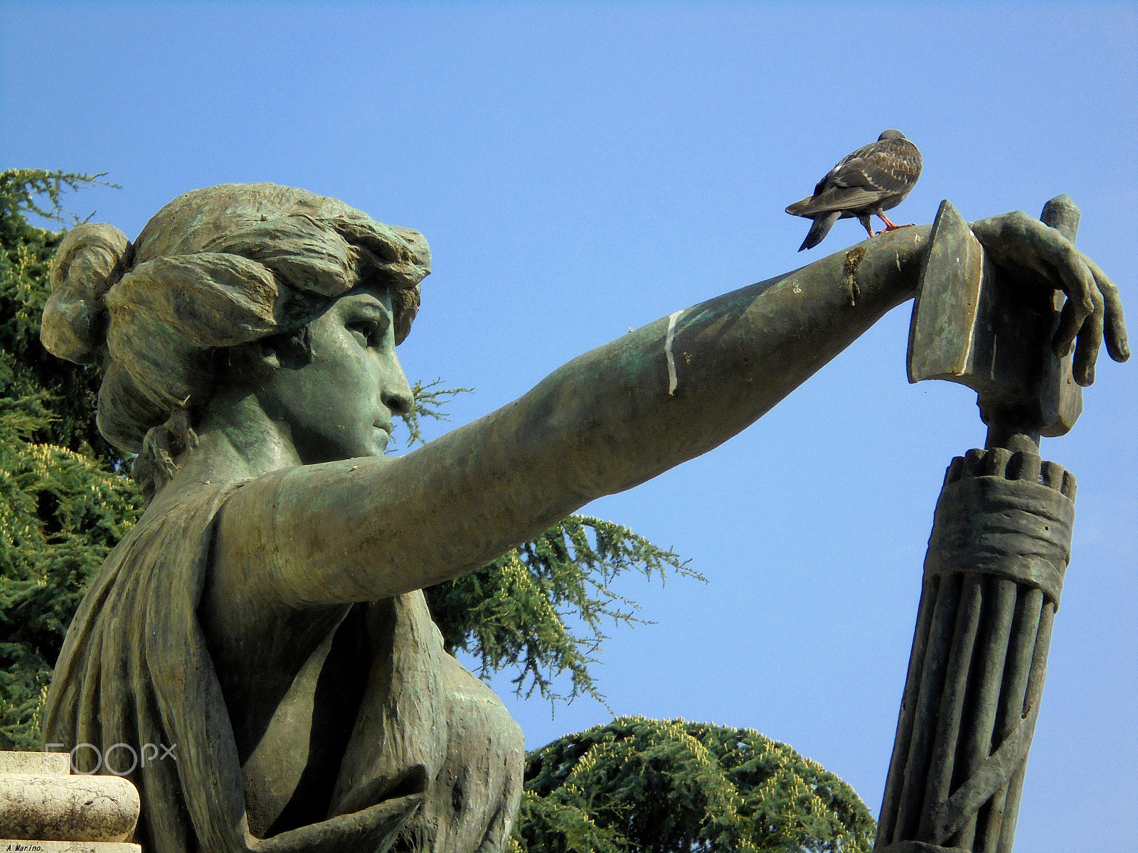 Sony Cyber-shot DSC-W810 sample photo. The liberty and the bird photography