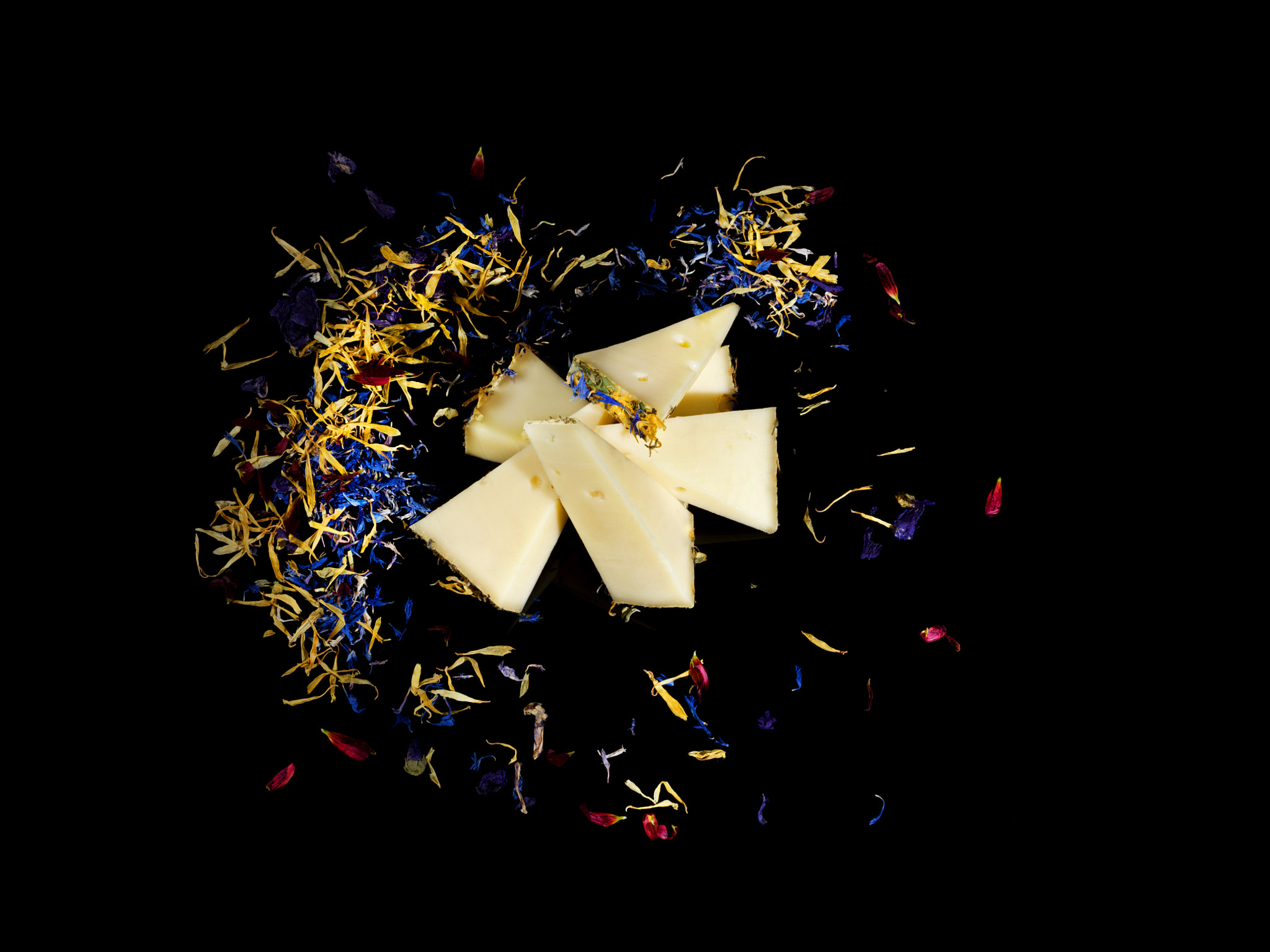Hasselblad H5D-200C MS sample photo. Zillertaler bergsenn heublumenkäse photography