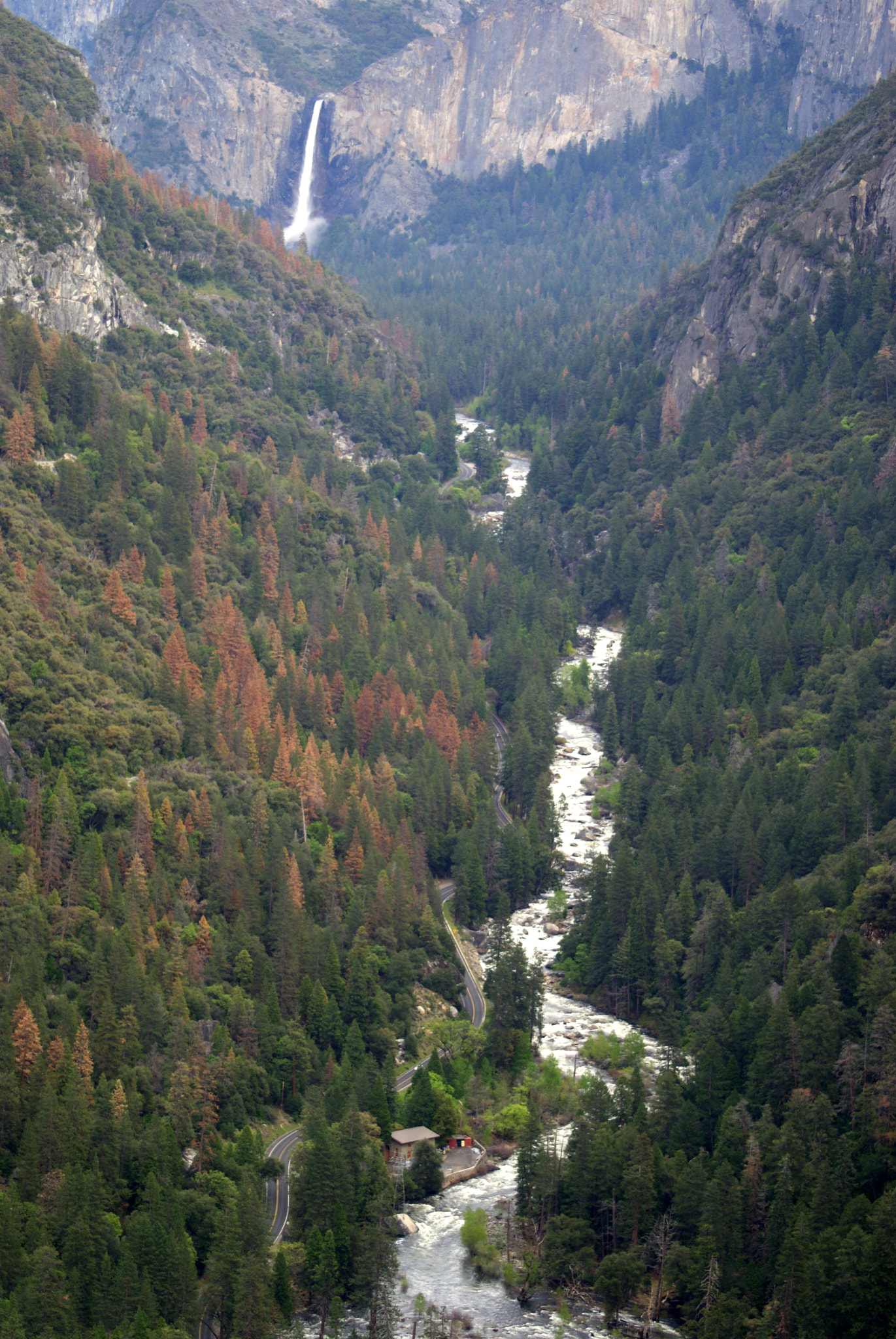 Sony Alpha DSLR-A300 sample photo. Yosemite national park photography