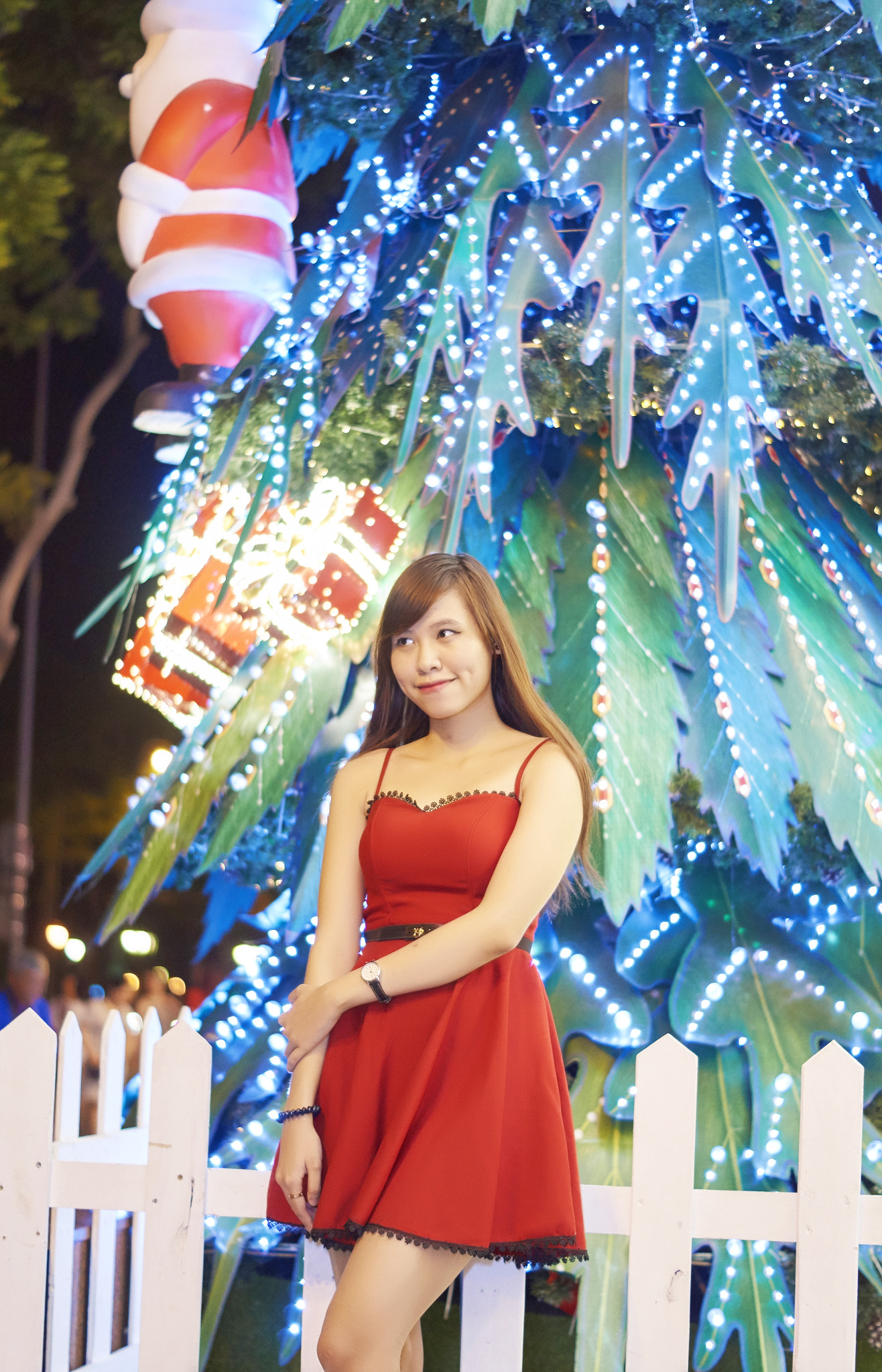 Sony SLT-A57 + Sony DT 50mm F1.8 SAM sample photo. Hanh () photography