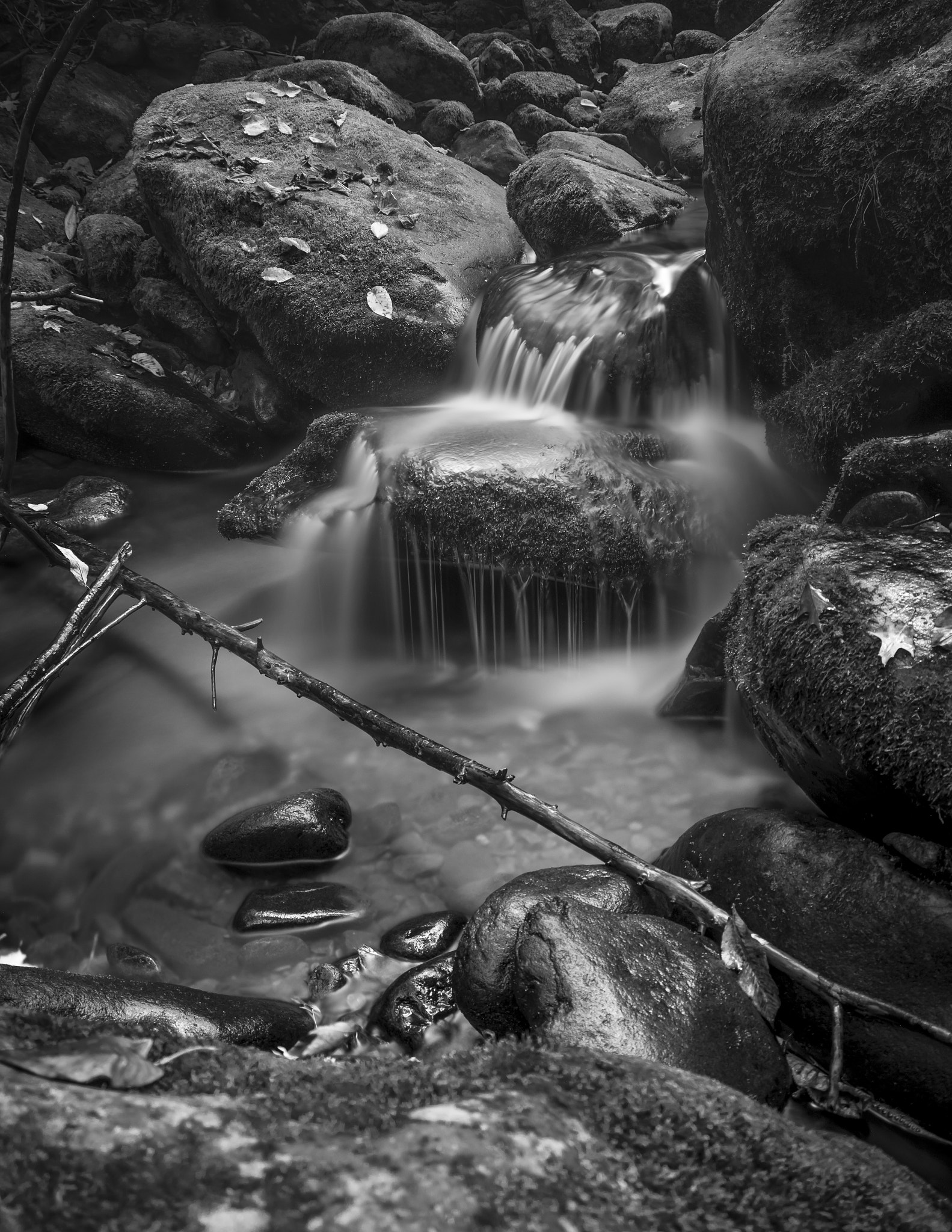 Sigma 18-50mm F3.5-5.6 DC sample photo. Roaring fork cascades  photography