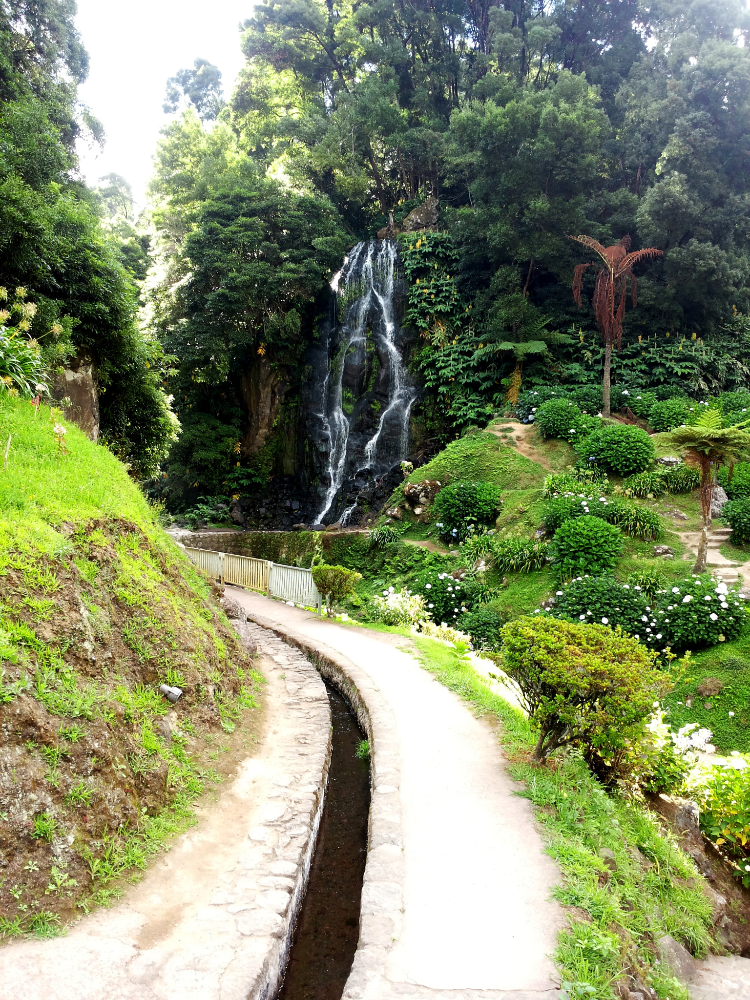 Samsung Galaxy S2 Plus sample photo. Nordeste photography