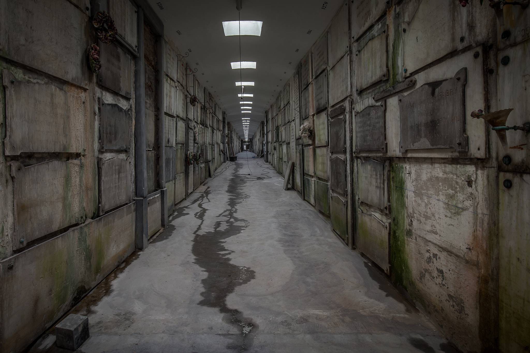 Canon EF 16-35mm F4L IS USM sample photo. The crypt photography