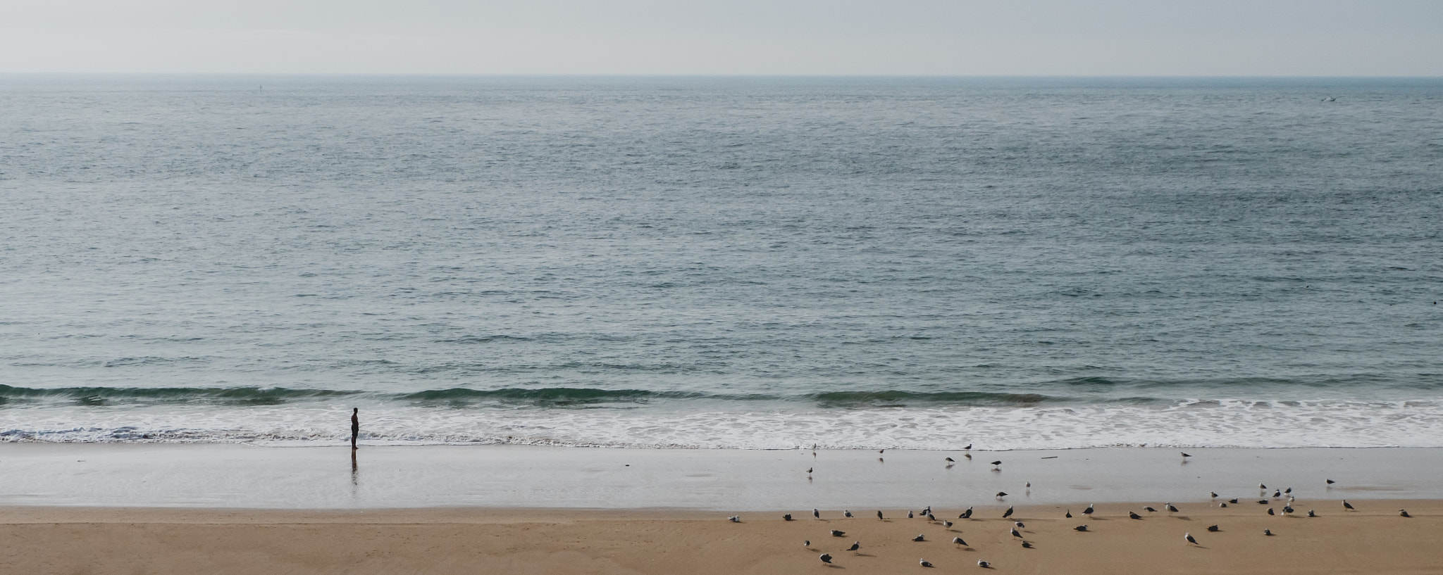 Fujifilm XC 16-50mm F3.5-5.6 OIS II sample photo. Rise against the seagulls photography