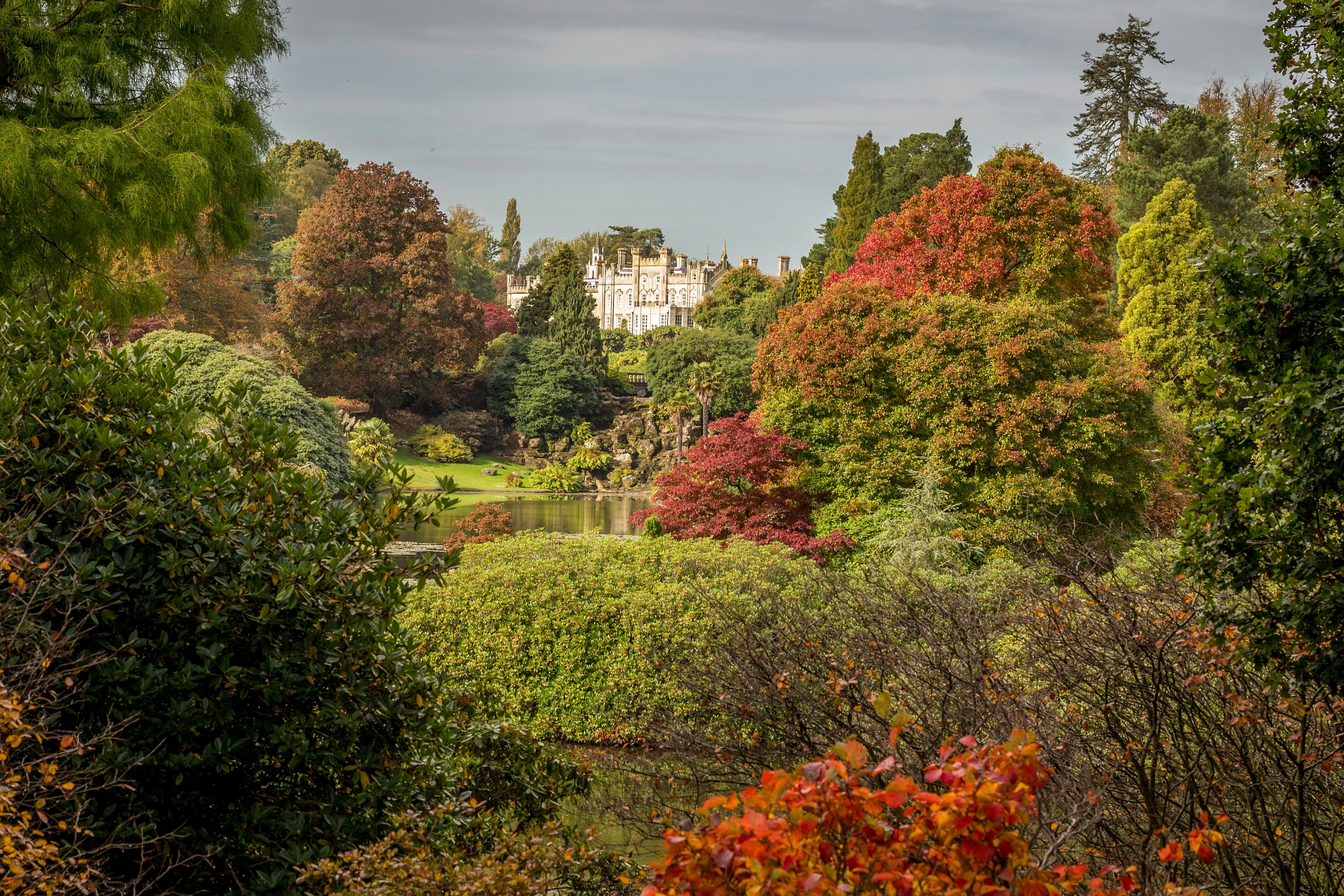 Canon EF-S 60mm F2.8 Macro USM sample photo. Sheffield park photography